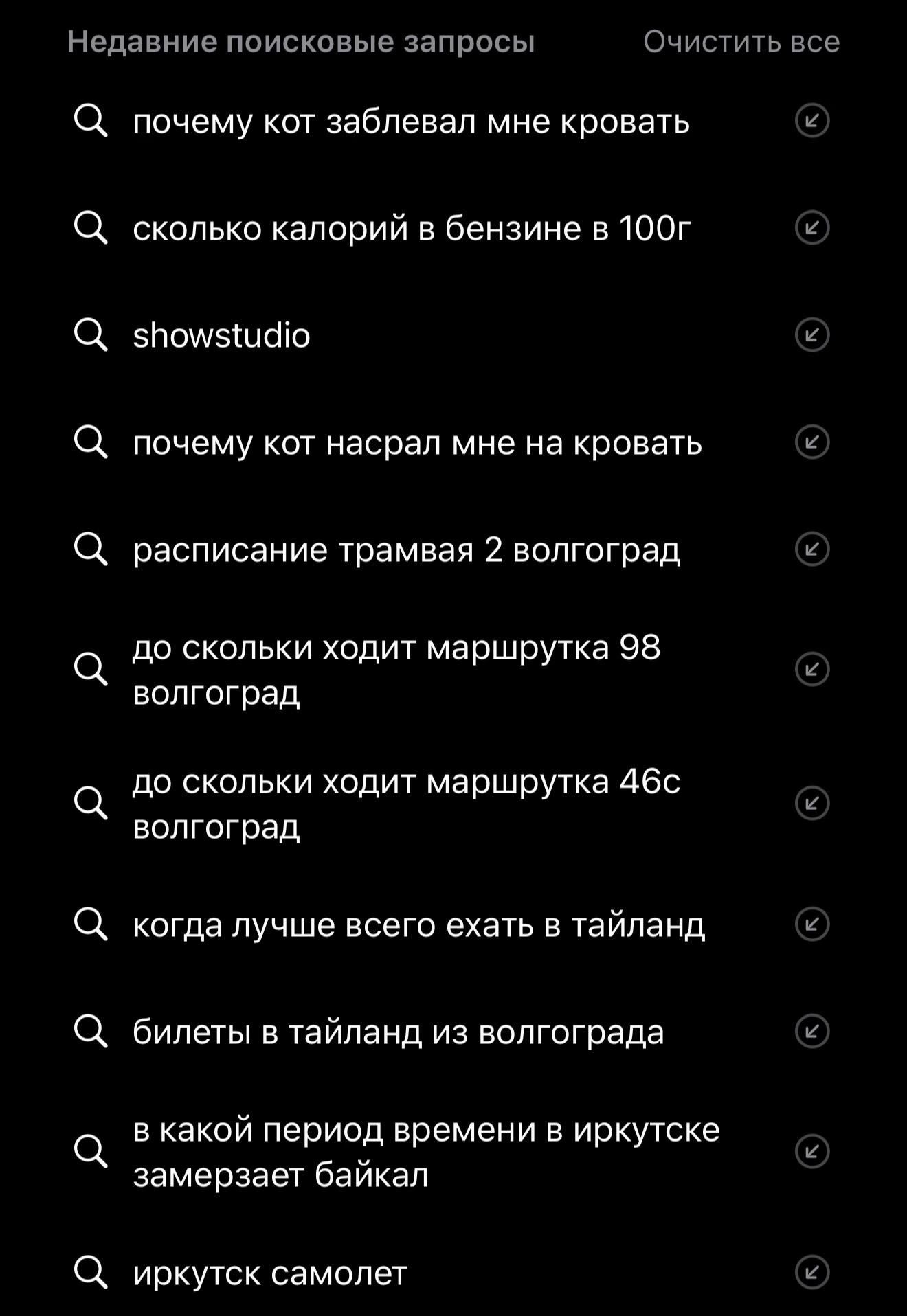 @Мирай 未来