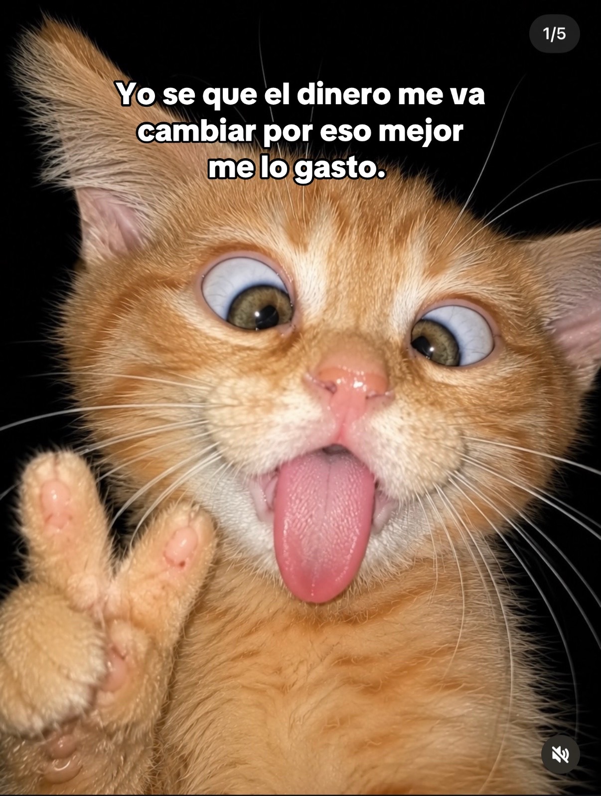 @Yissel