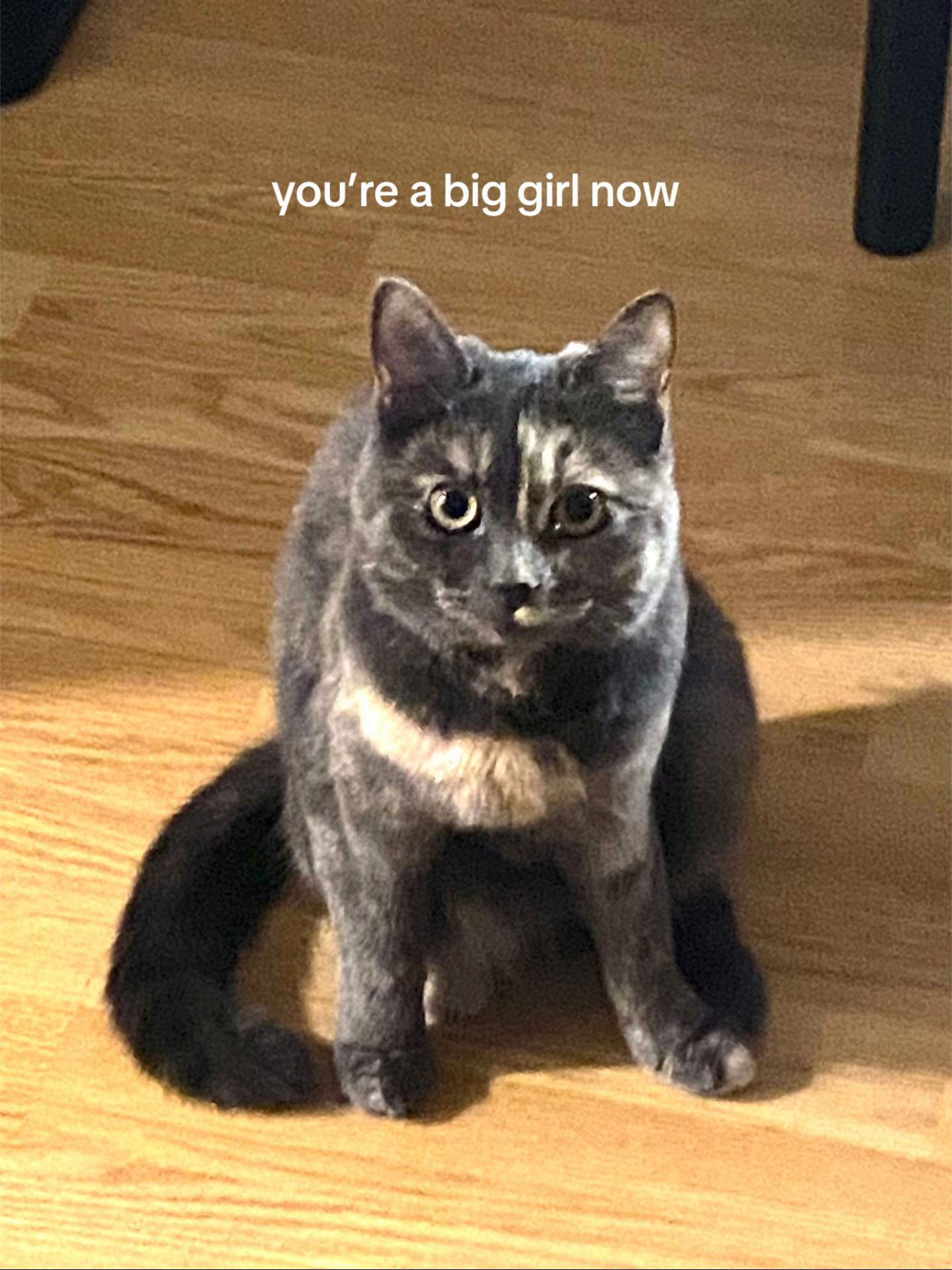@V