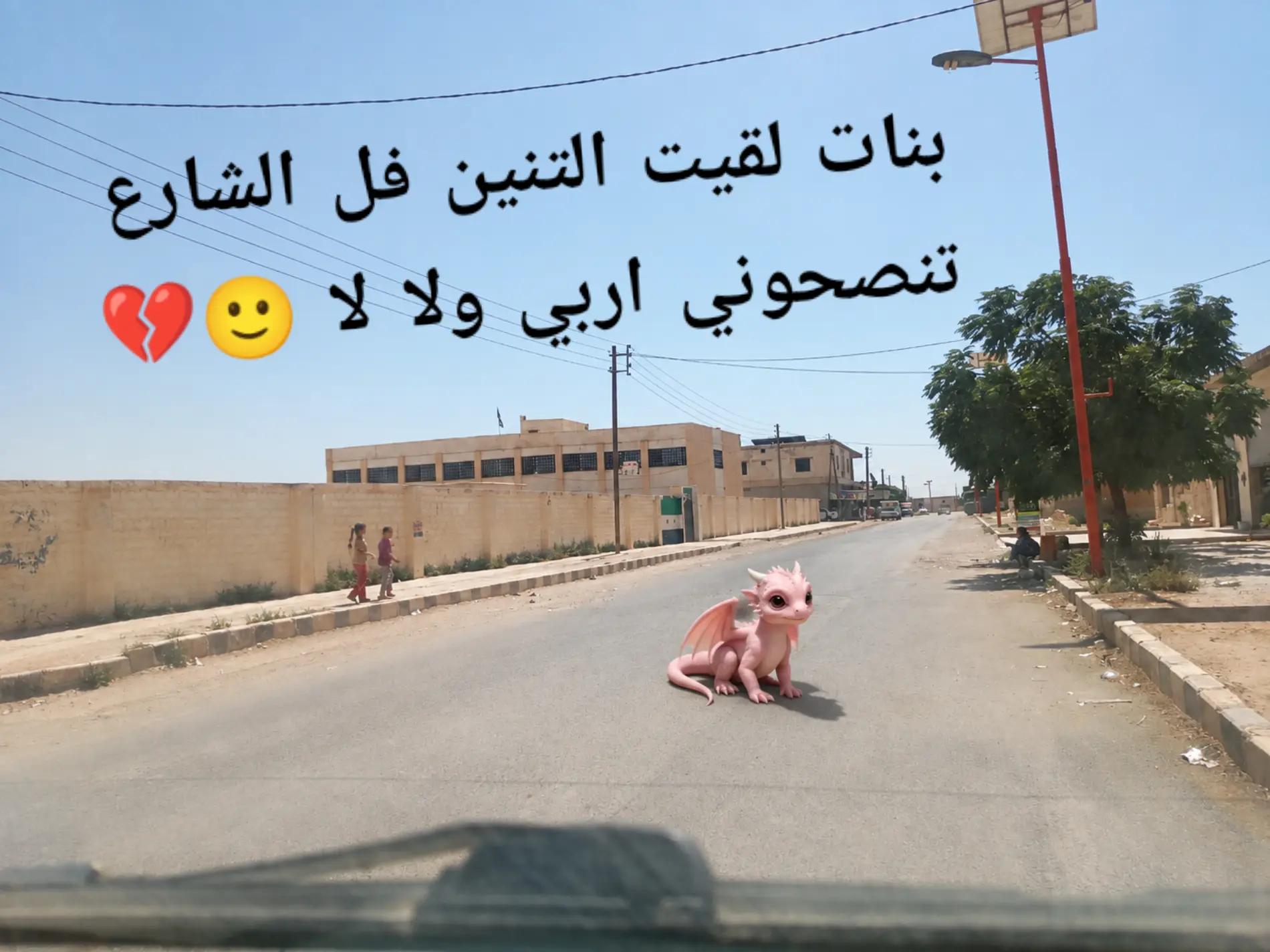 @﮼ݺ،ننوﯡشههَۃةِ👸