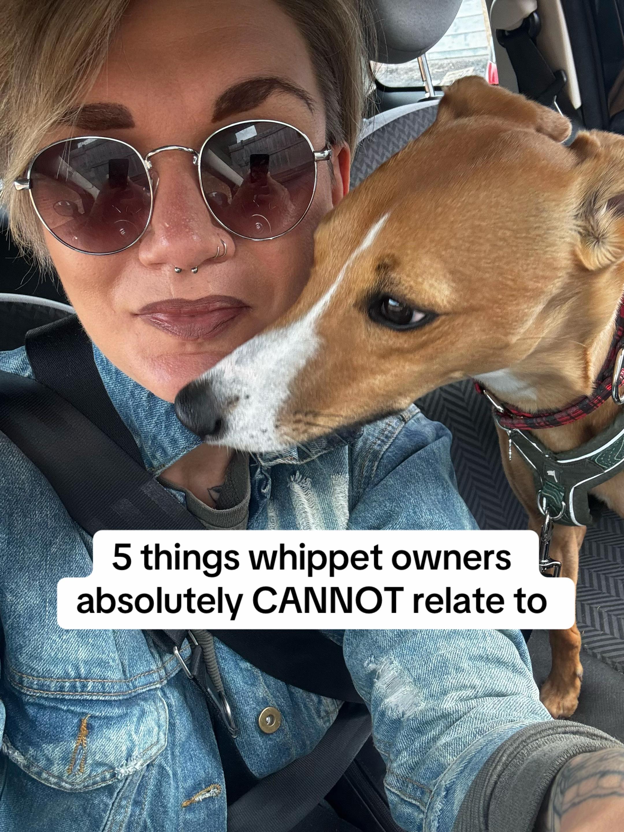 @Sam and her whippet