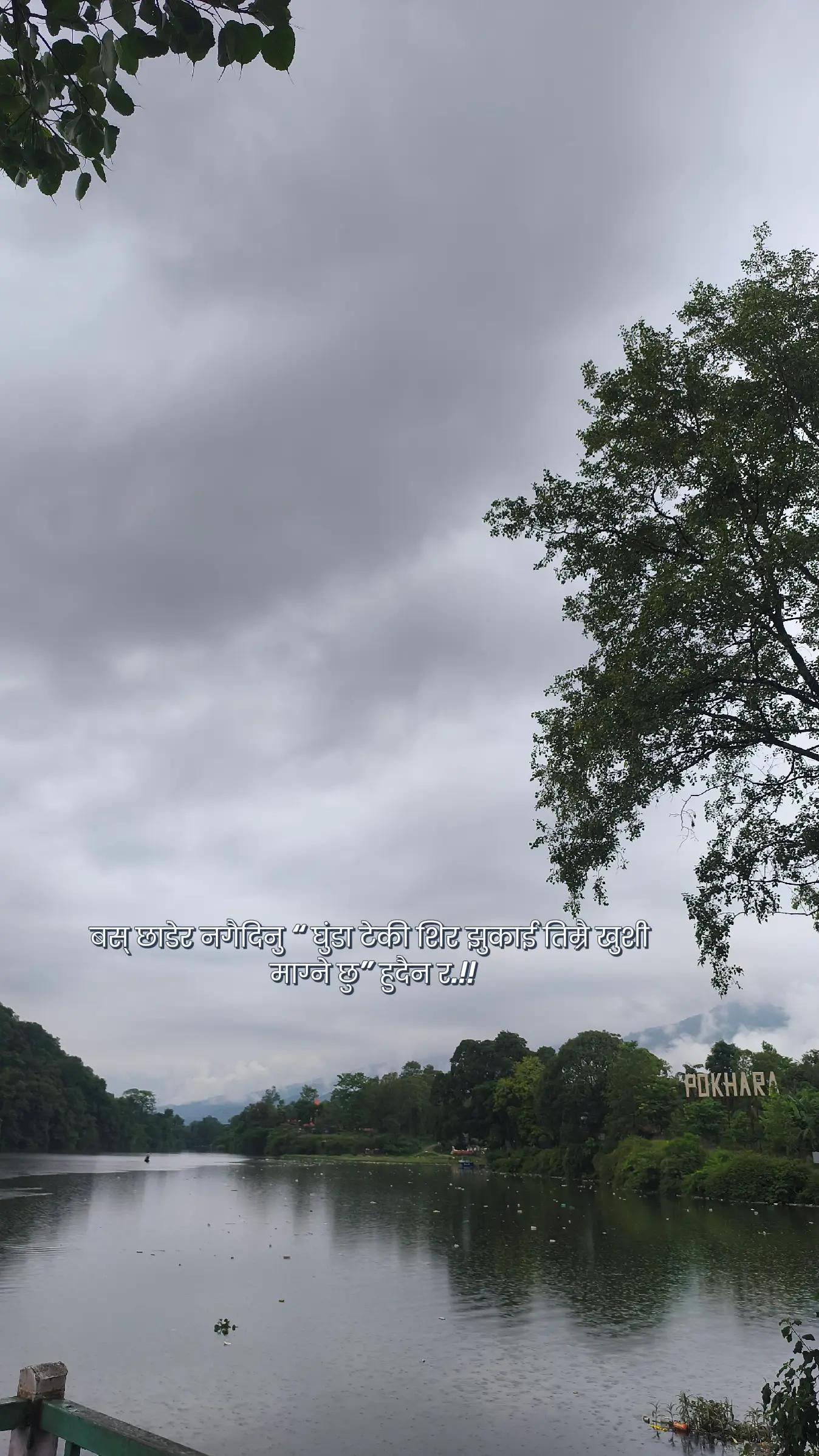 @Painful Lines