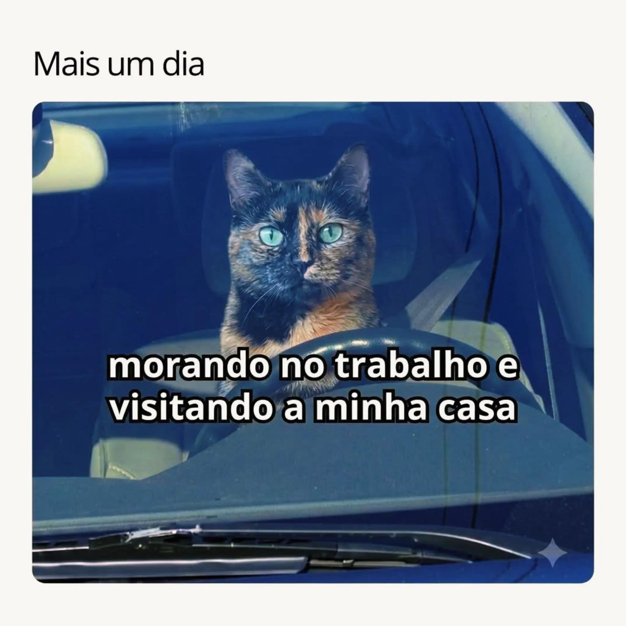 @LÉO COELHO BLUMENAU SC