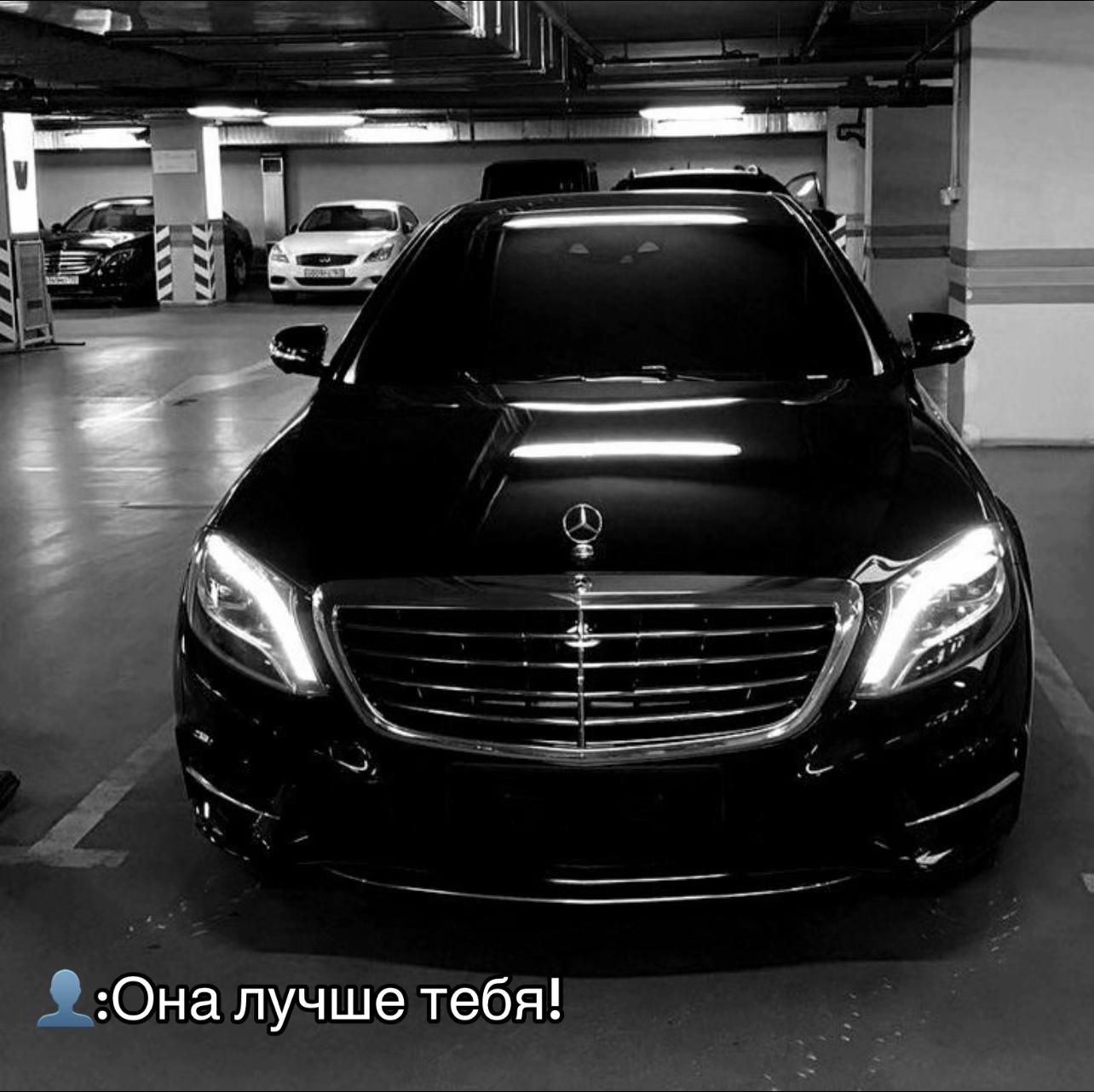 @777_koshka_777_