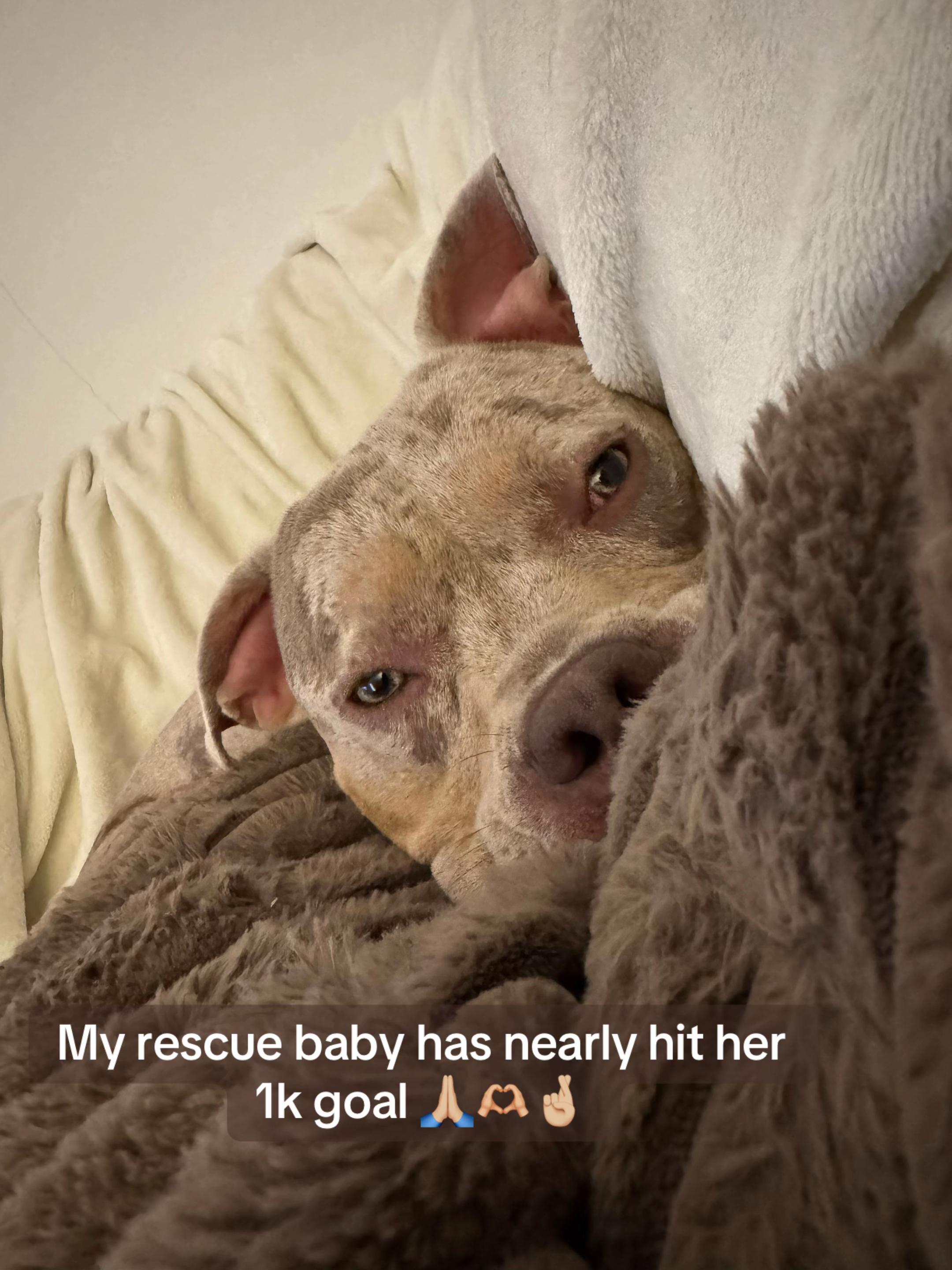 @Rue the Rescue