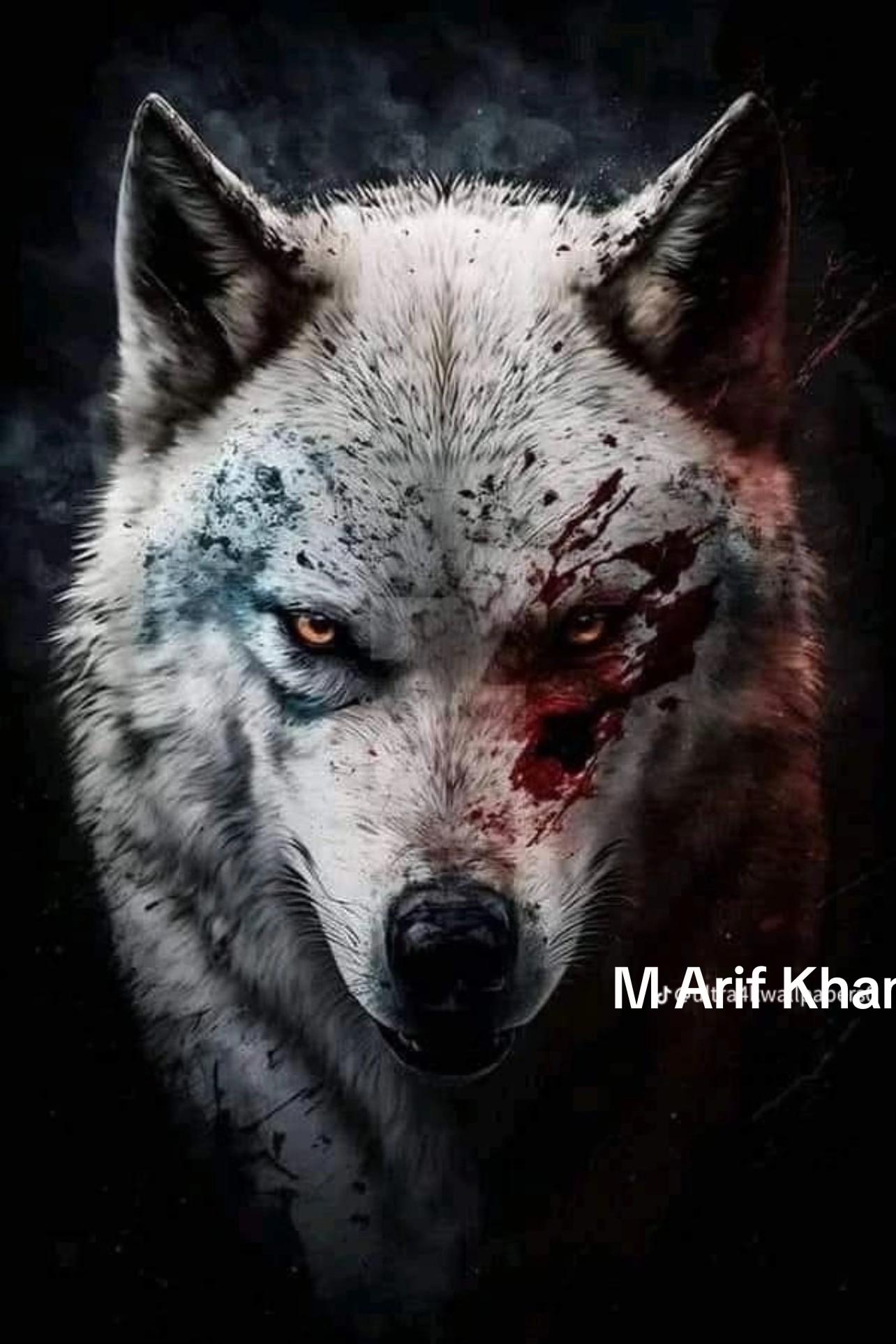 @Arifkhann412