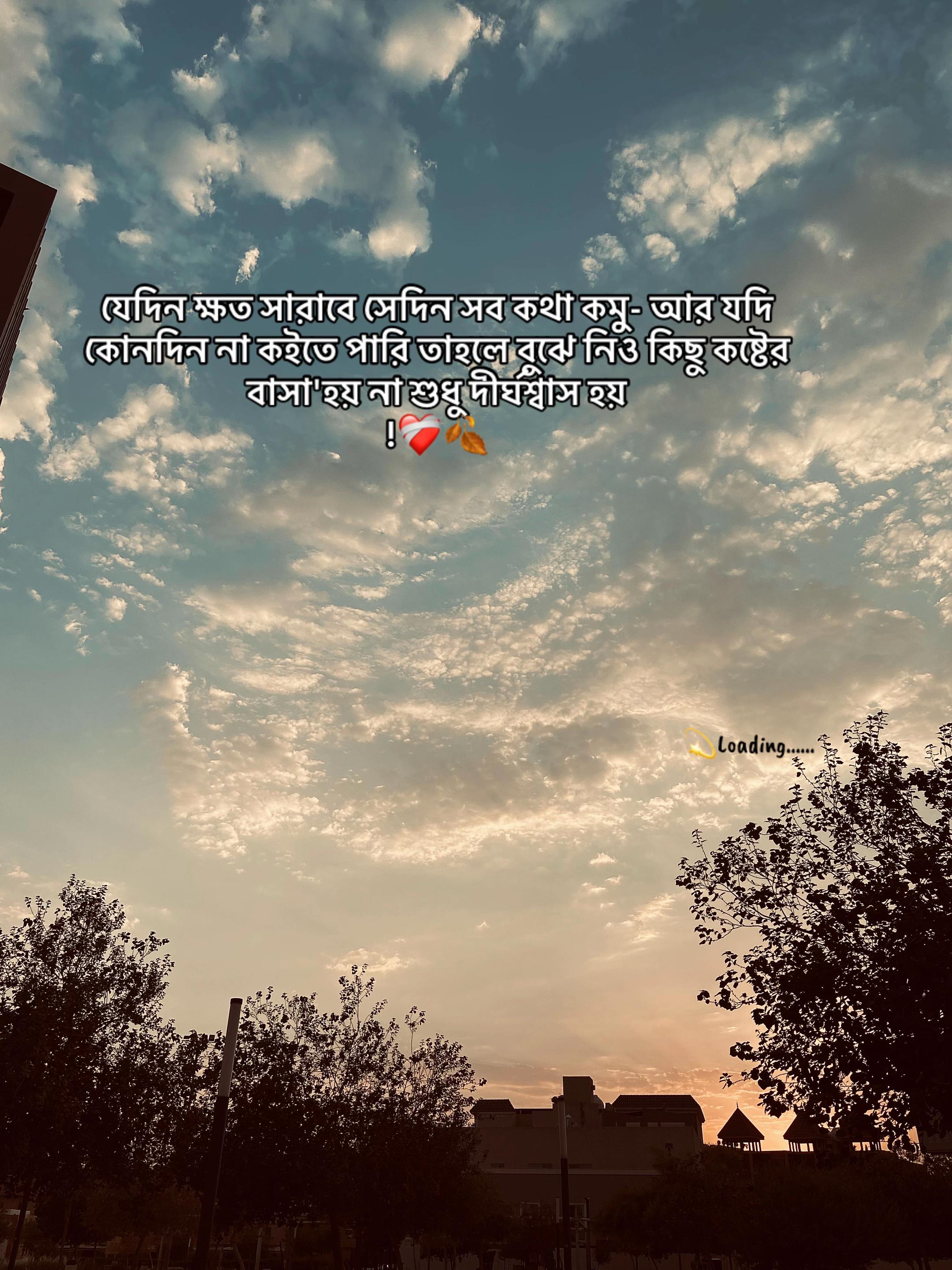 @💫 𝙇𝙤𝙖𝙙𝙞𝙣𝙜••••••
