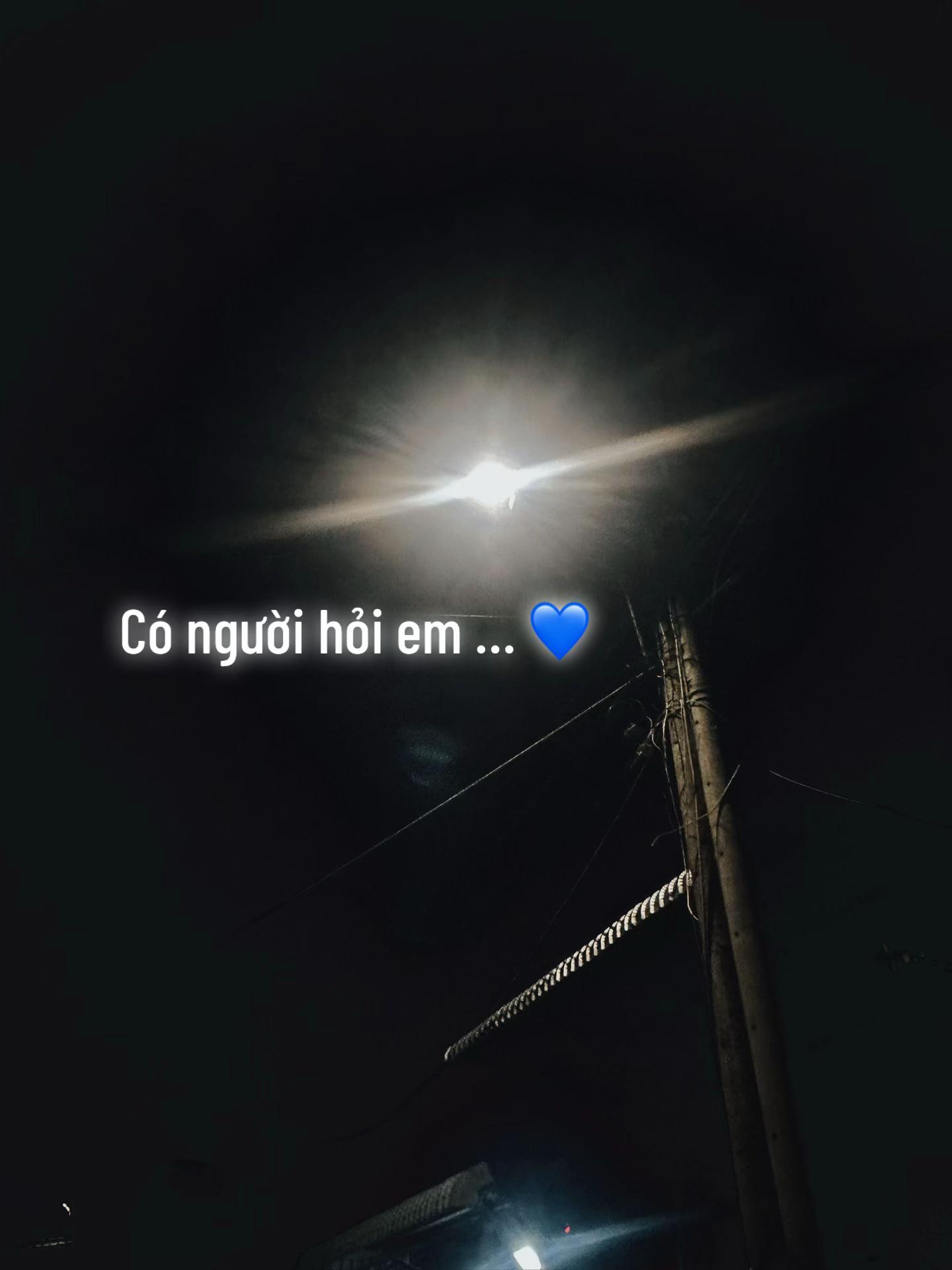 @huynhvan310