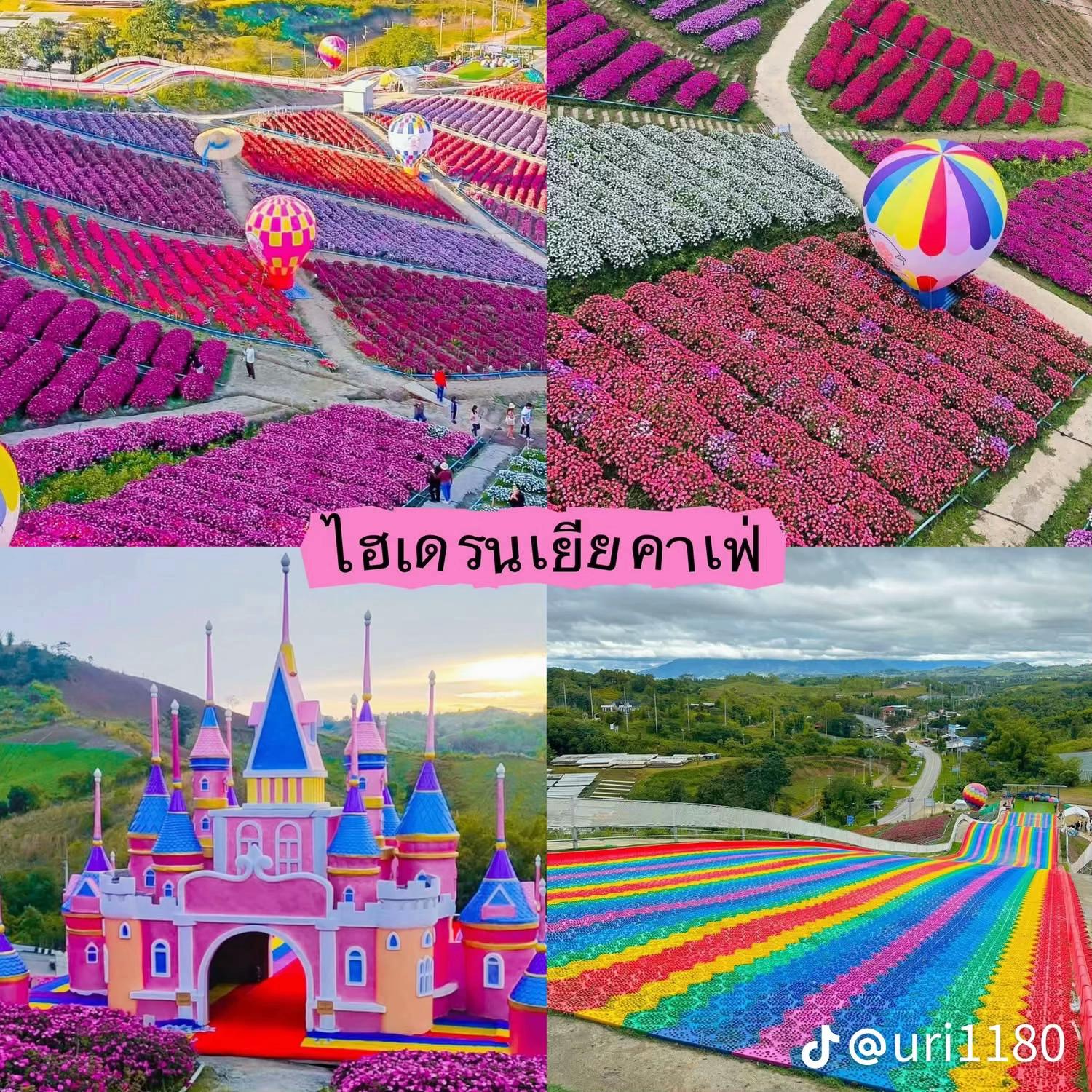@ð¥ Si Thu Phyo ð¥