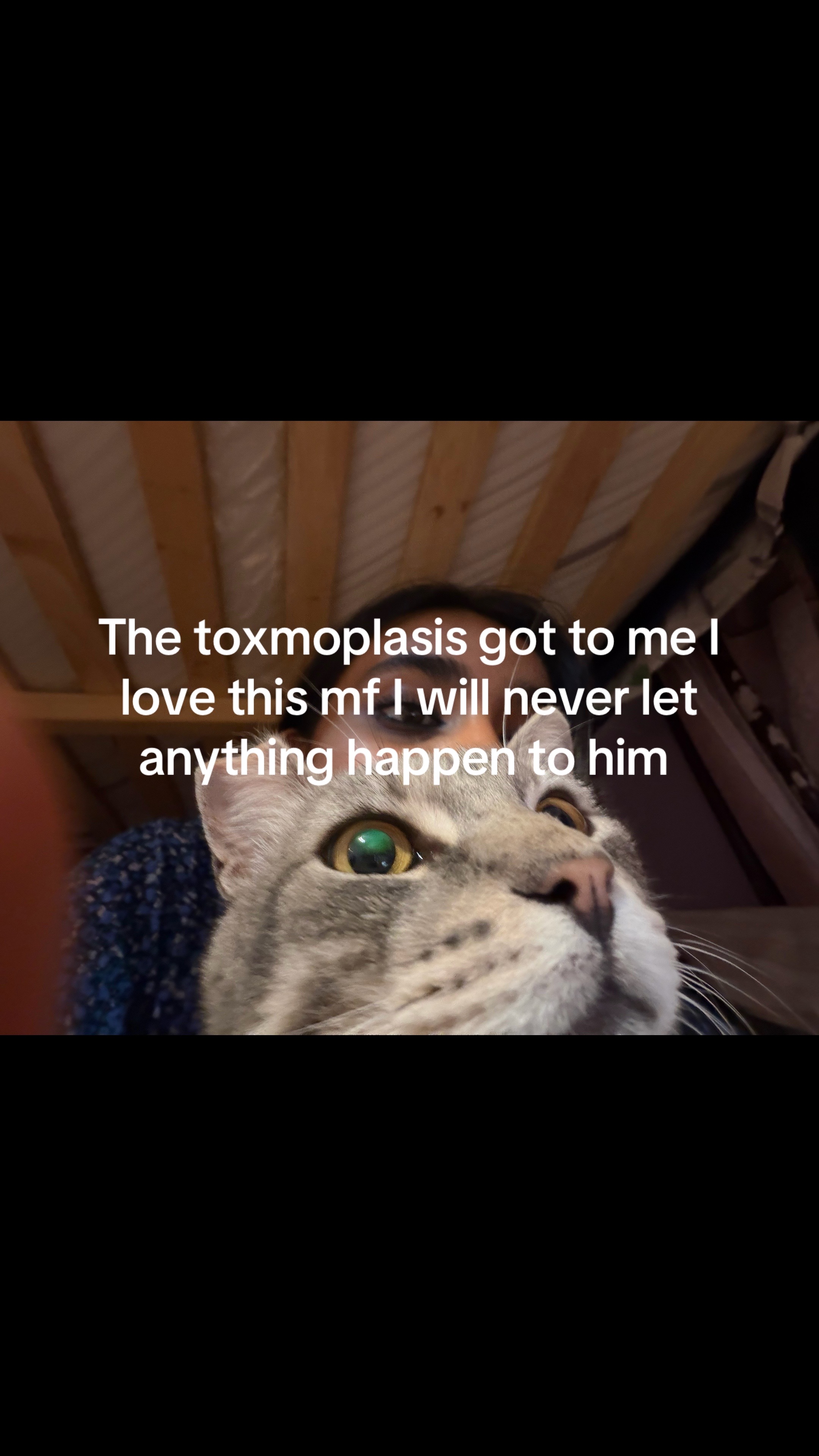 @ali