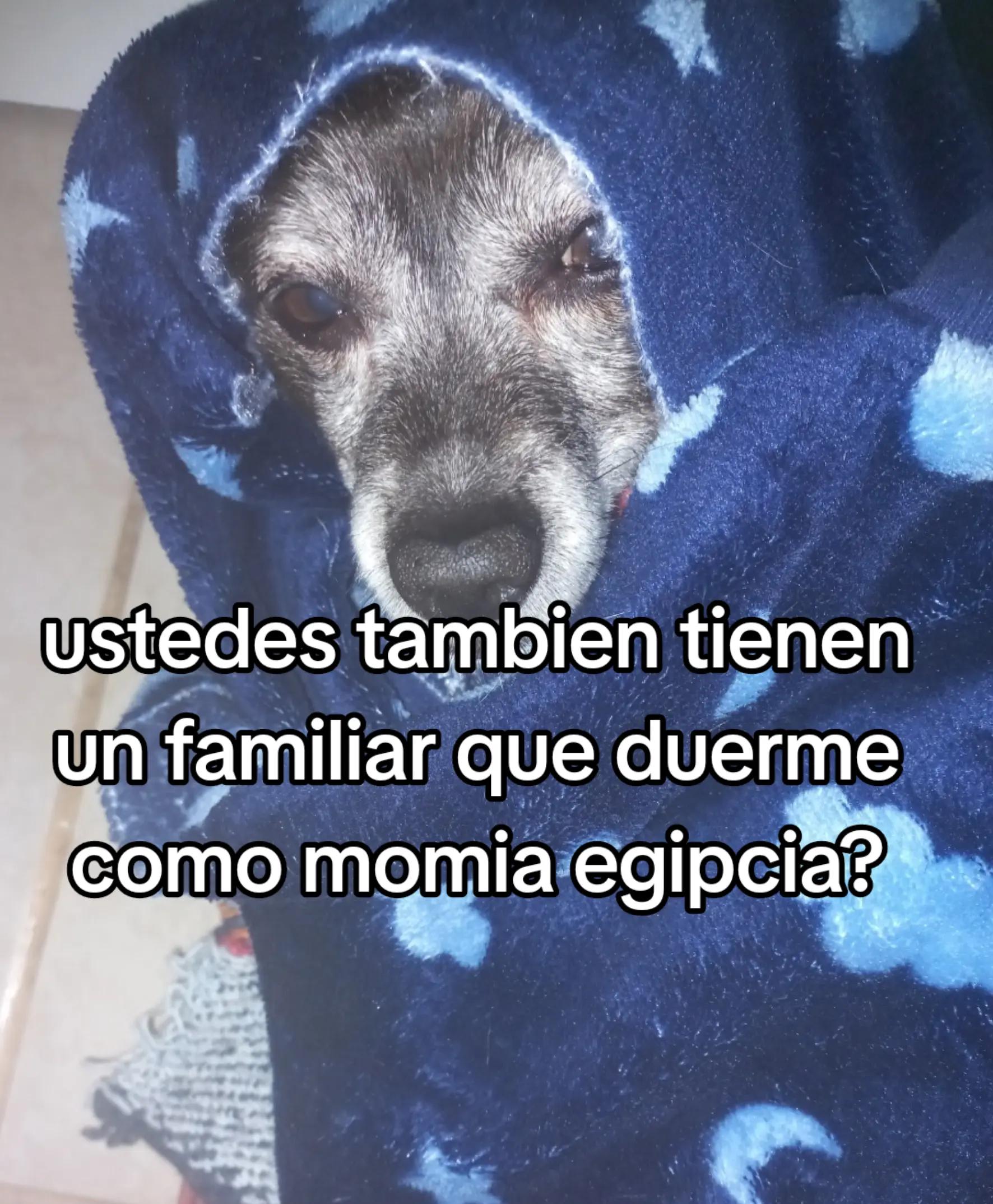 @mary