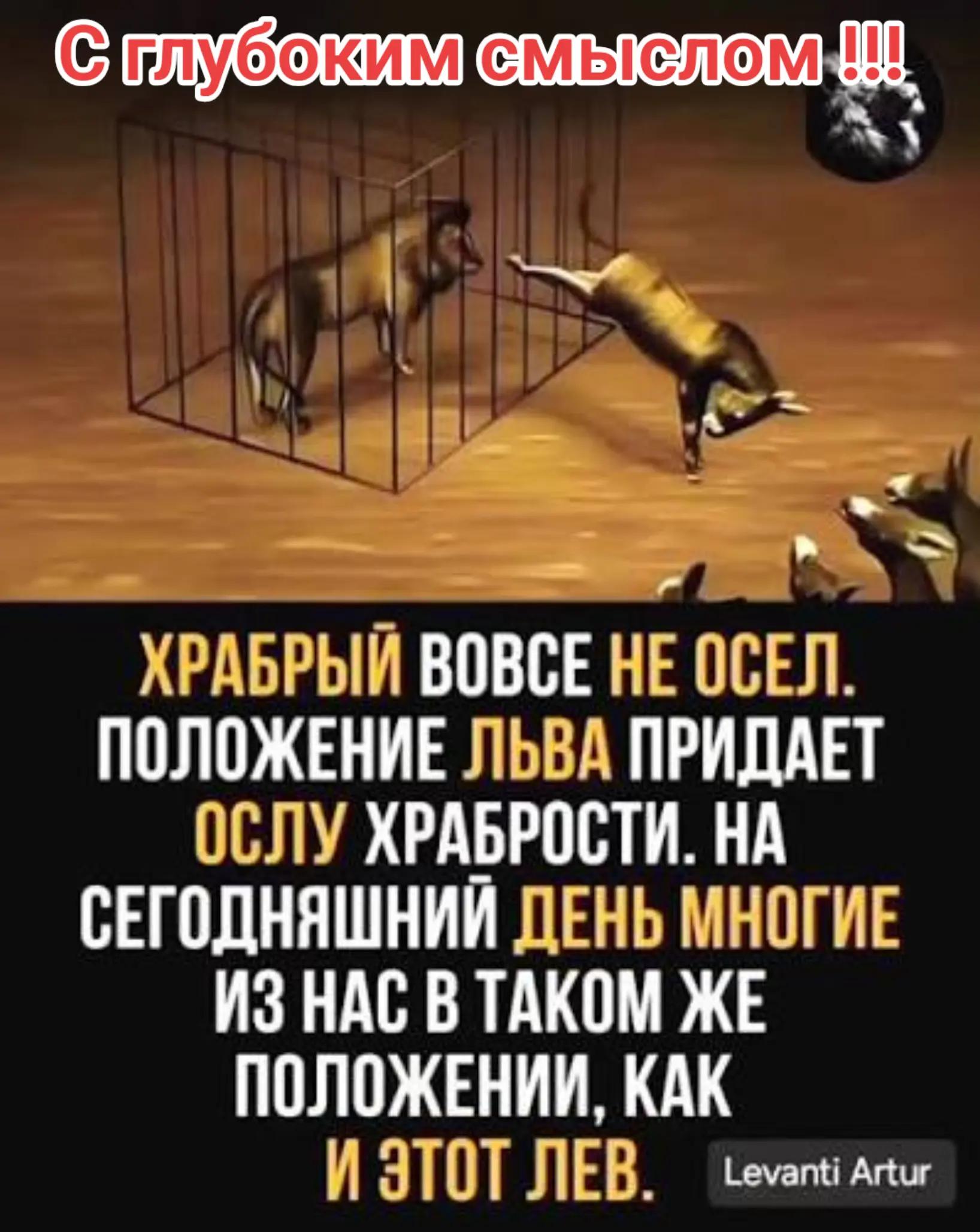 @СОБР 333