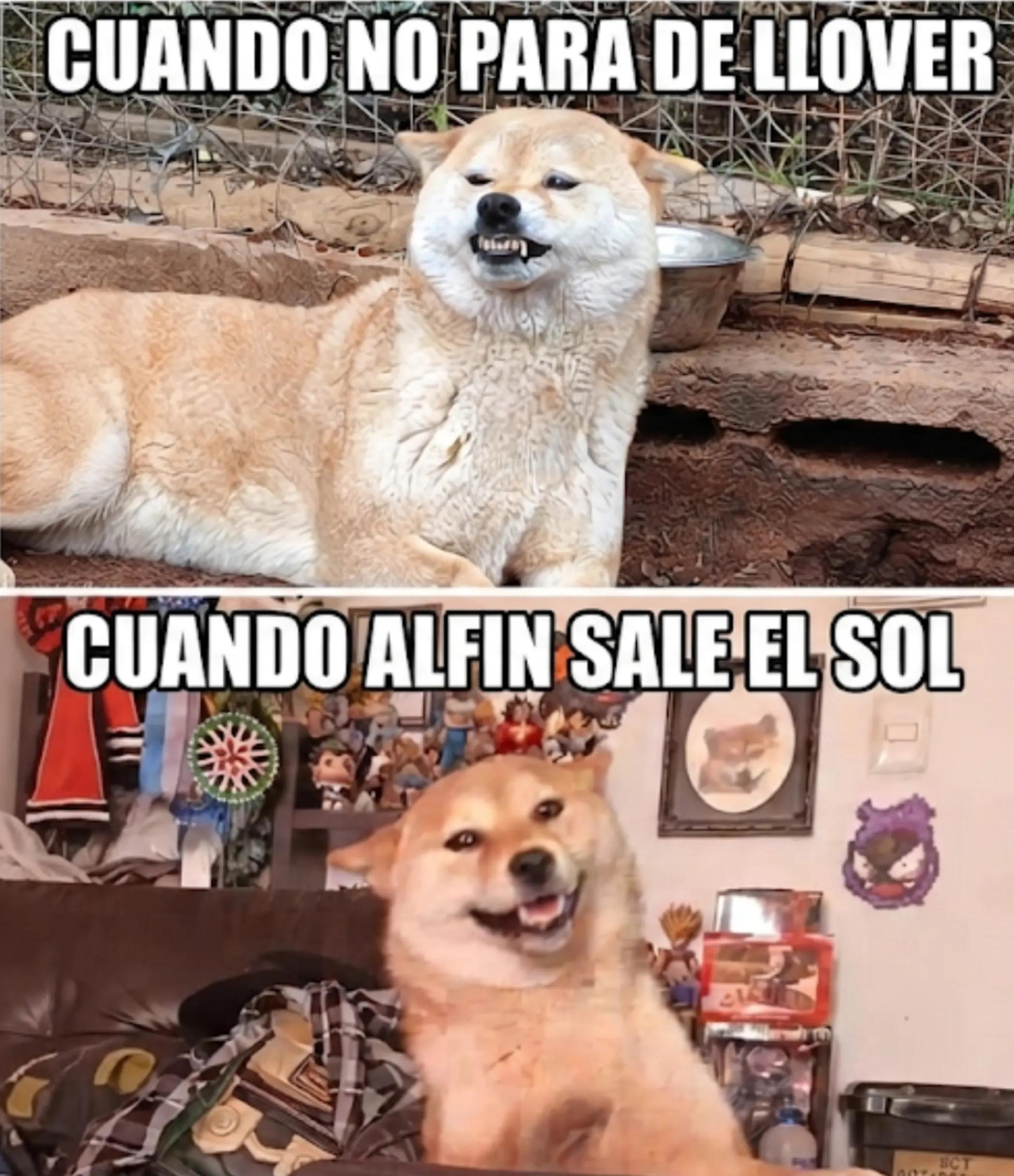 @Demona's Hellhounds Kennel
