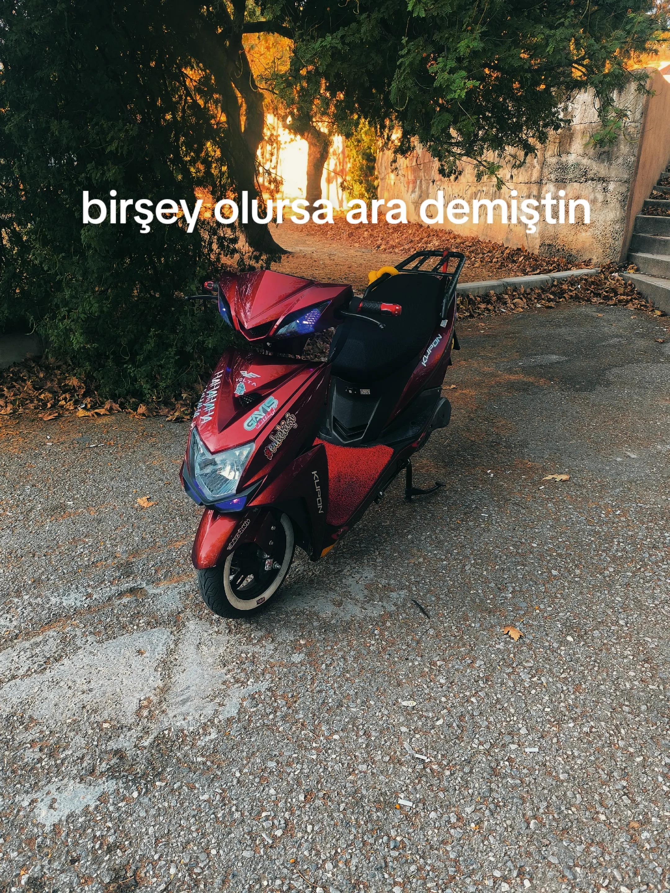 @selim sarıyiğit