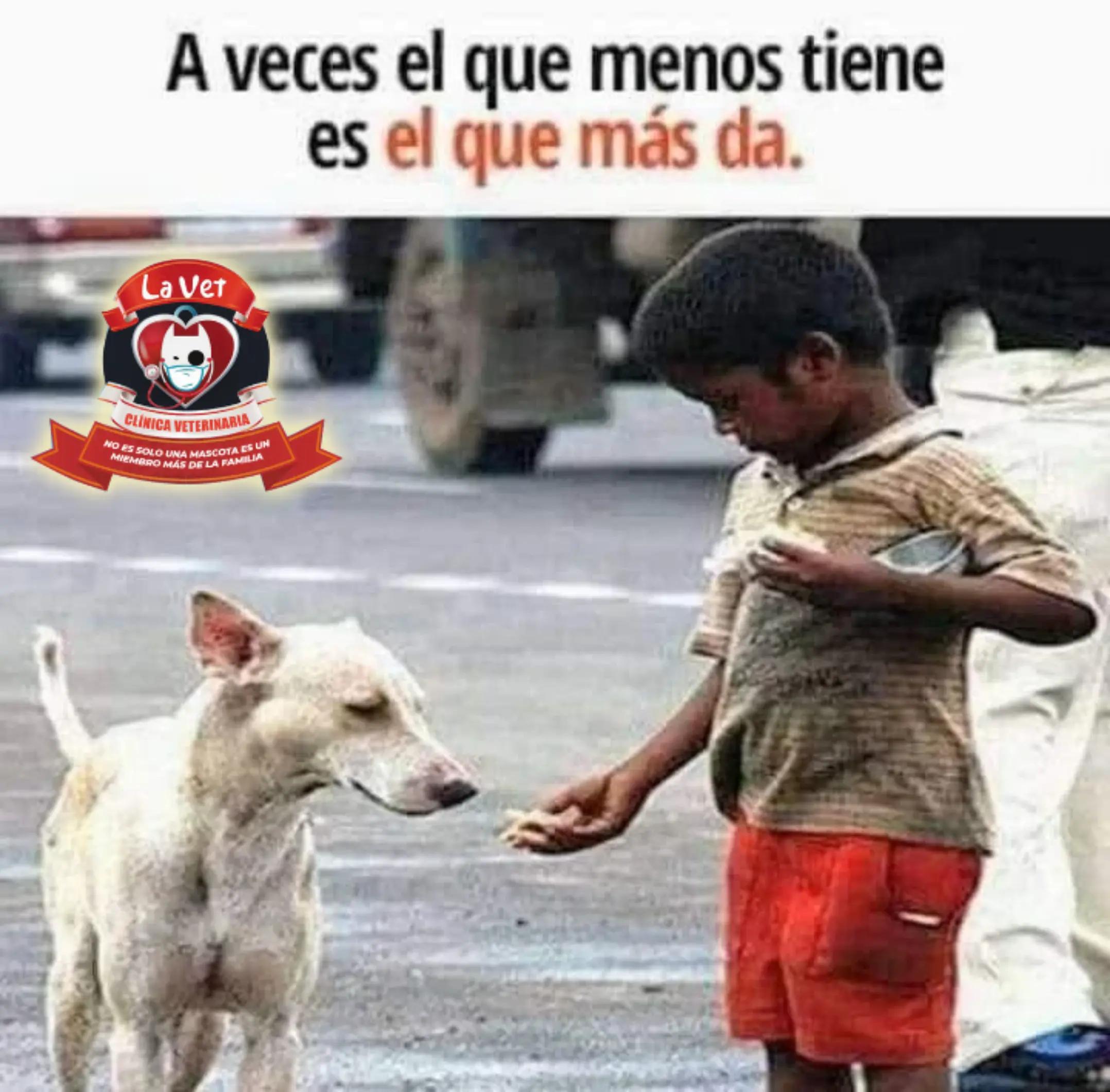 @Clínica la Vet Oriente