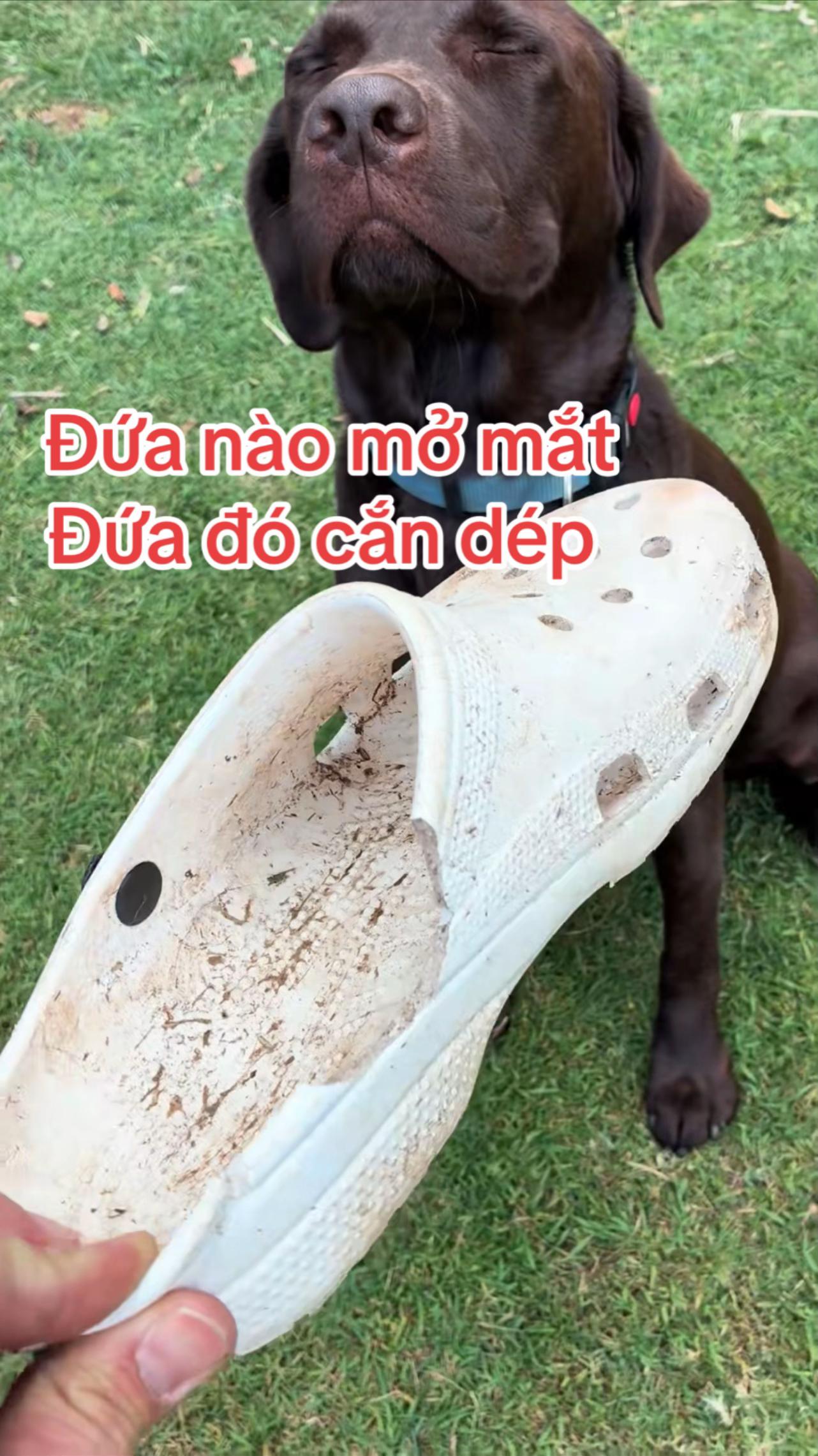@Đi & Go