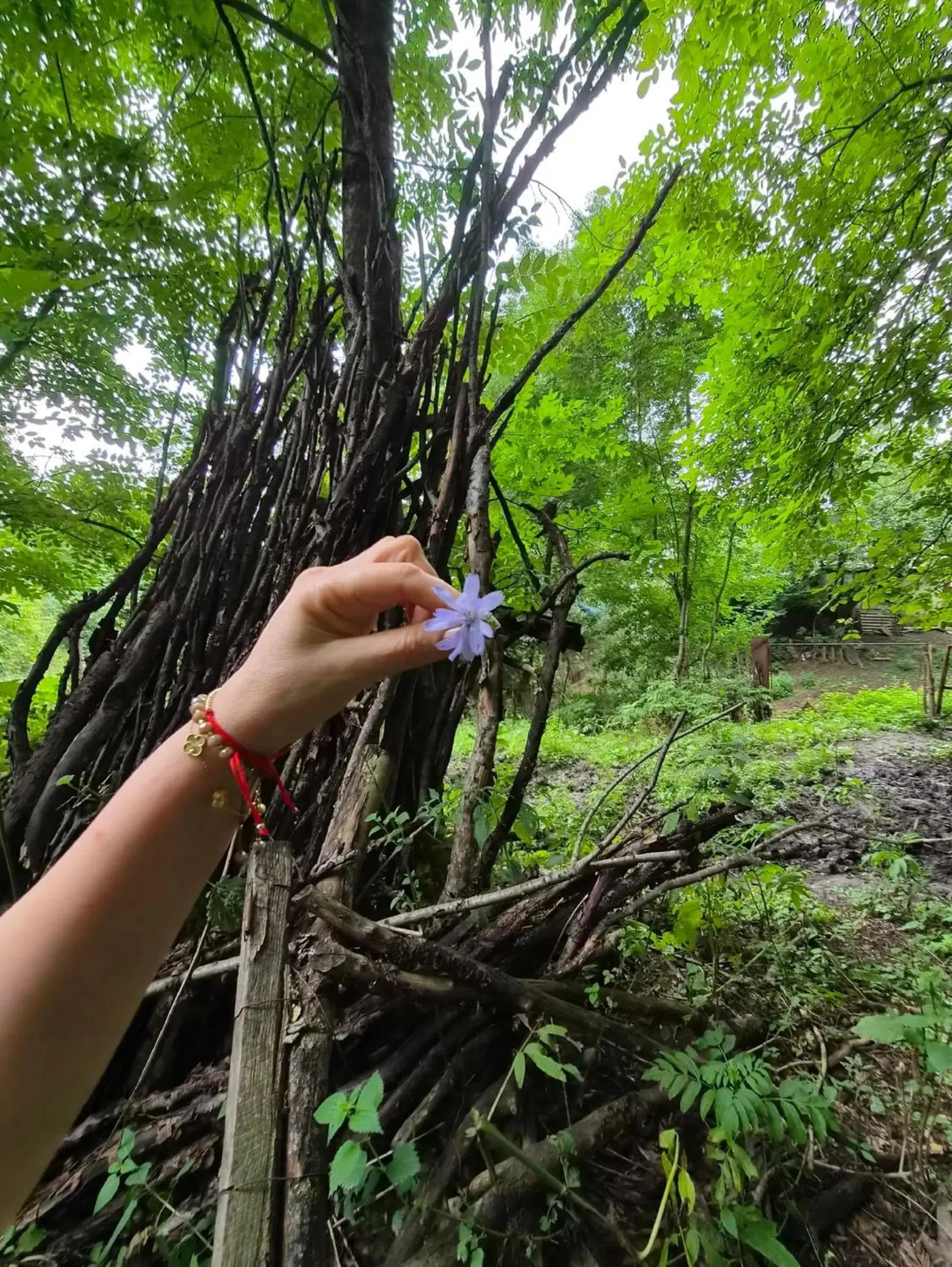 @tiktok