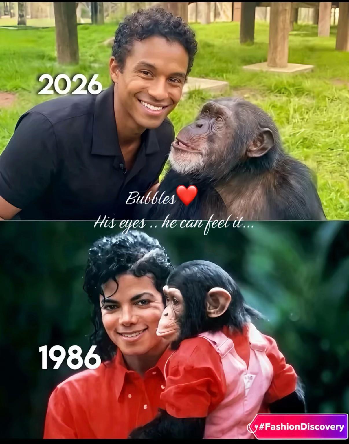 @Forever Michael