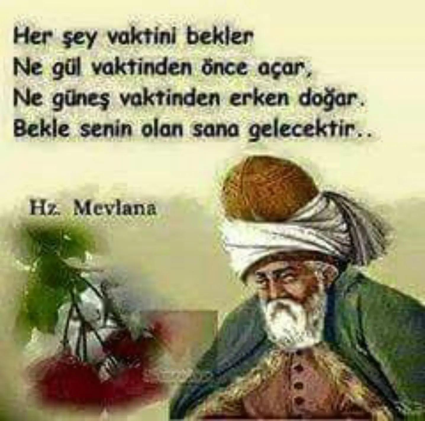 @karadayı