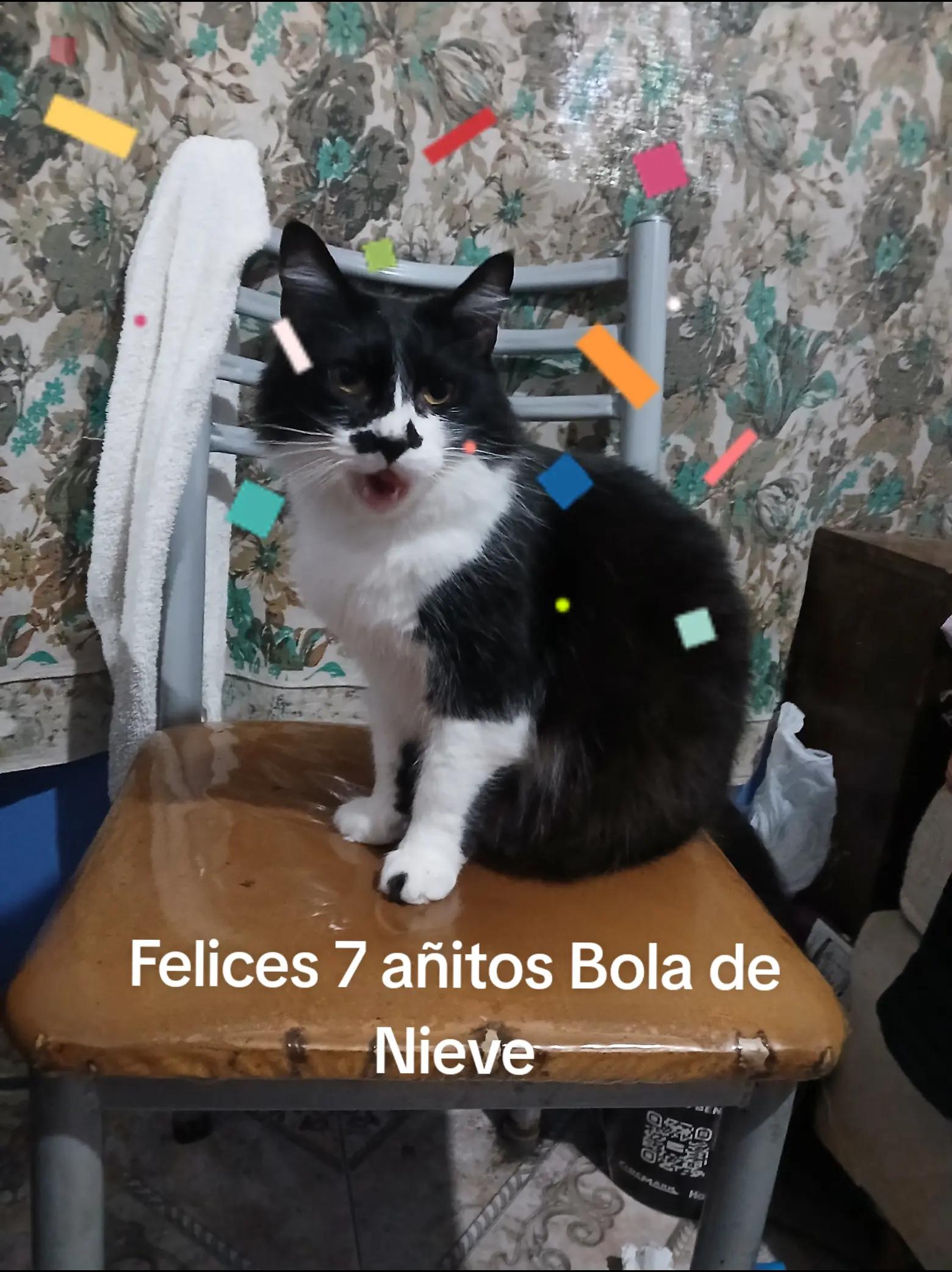 @Silvia Cortez🇦🇷🚛🎶👑🤠💎🩺