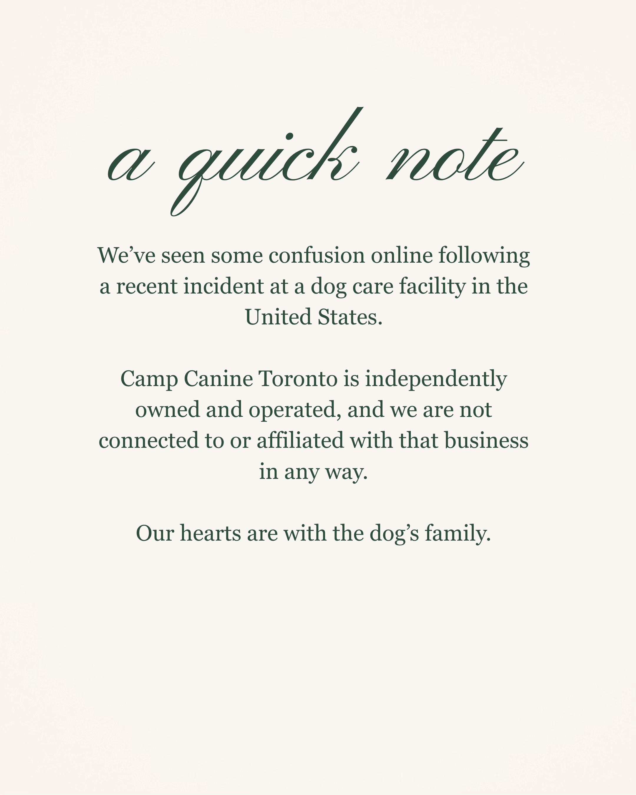 @Camp Canine Toronto