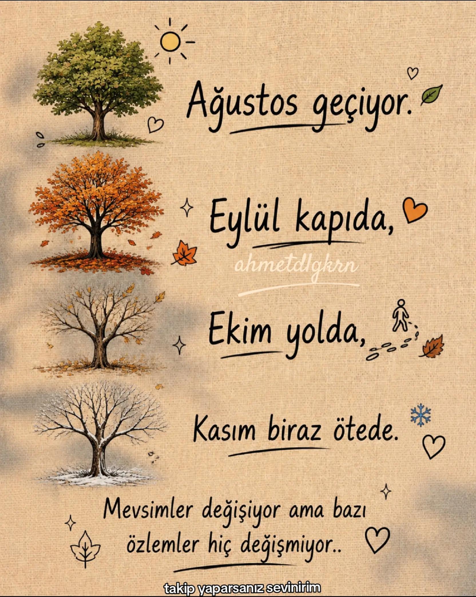 @ahmetdlgkrn