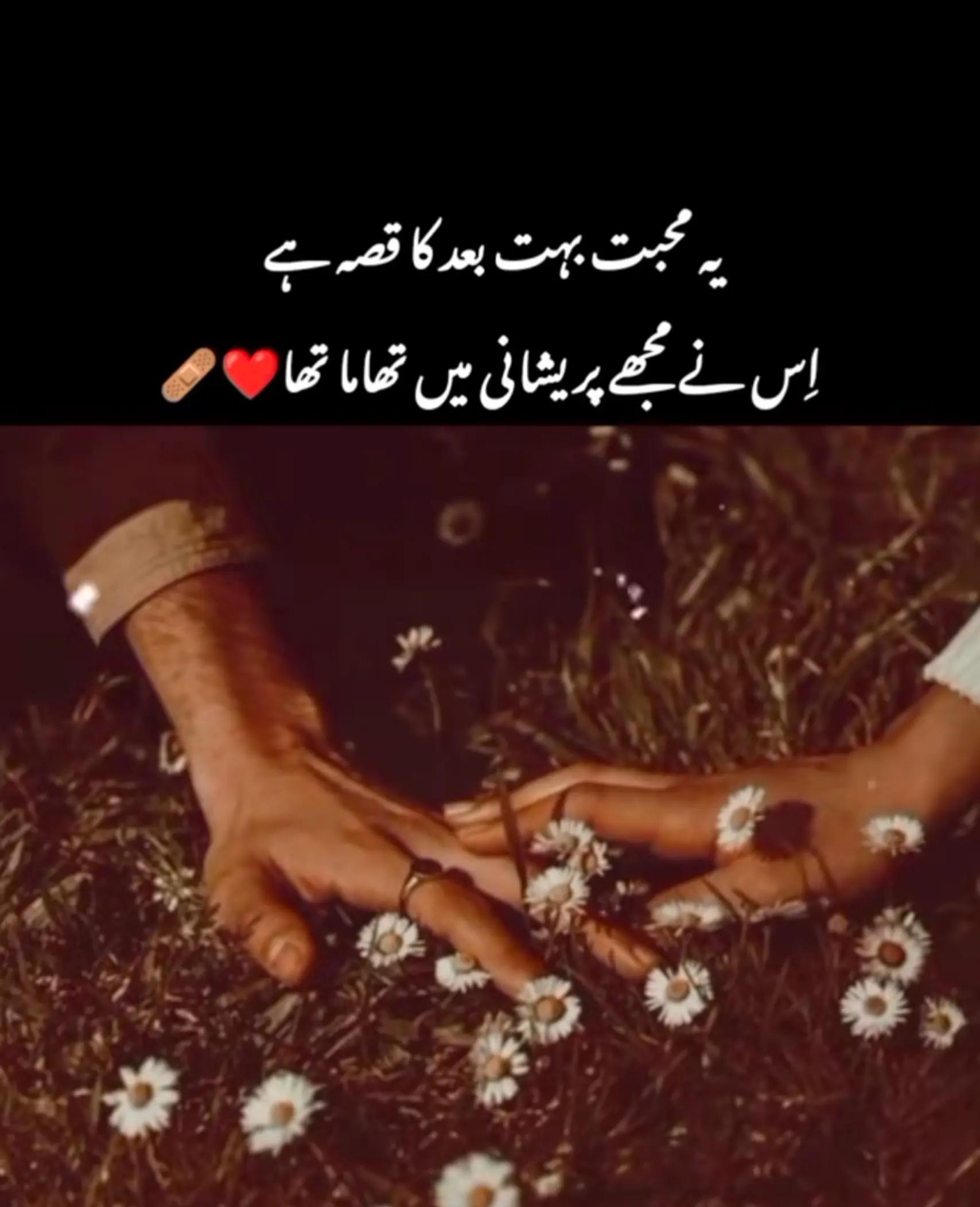 @Taimur Zaheer 🤍