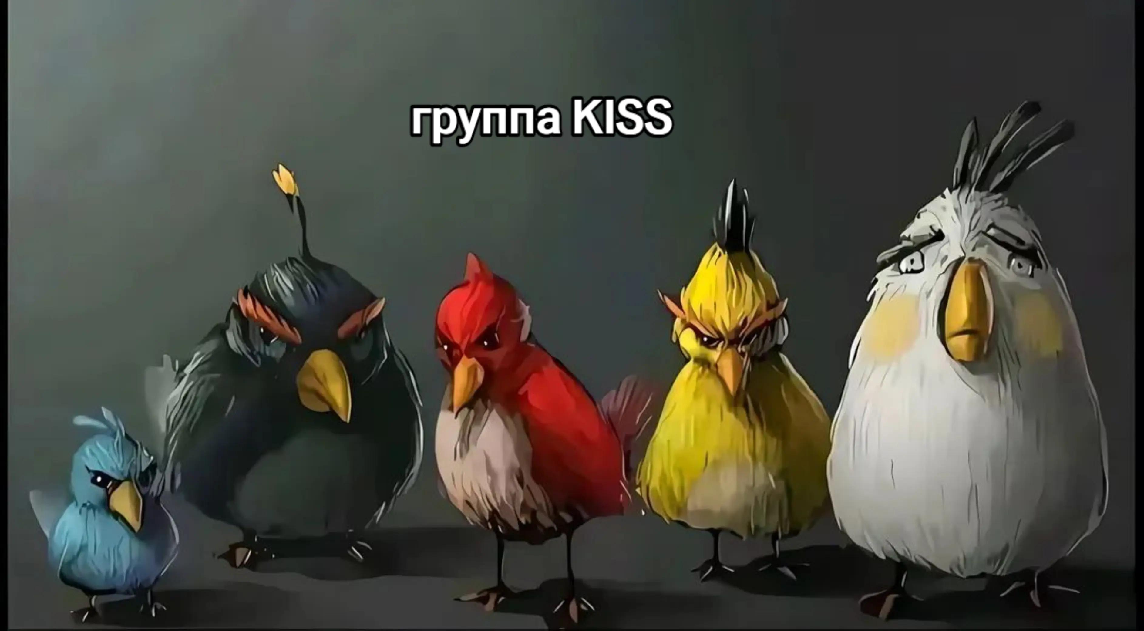 @𝘚𝘩𝘢𝘯𝘥𝘪 #r0yaDy