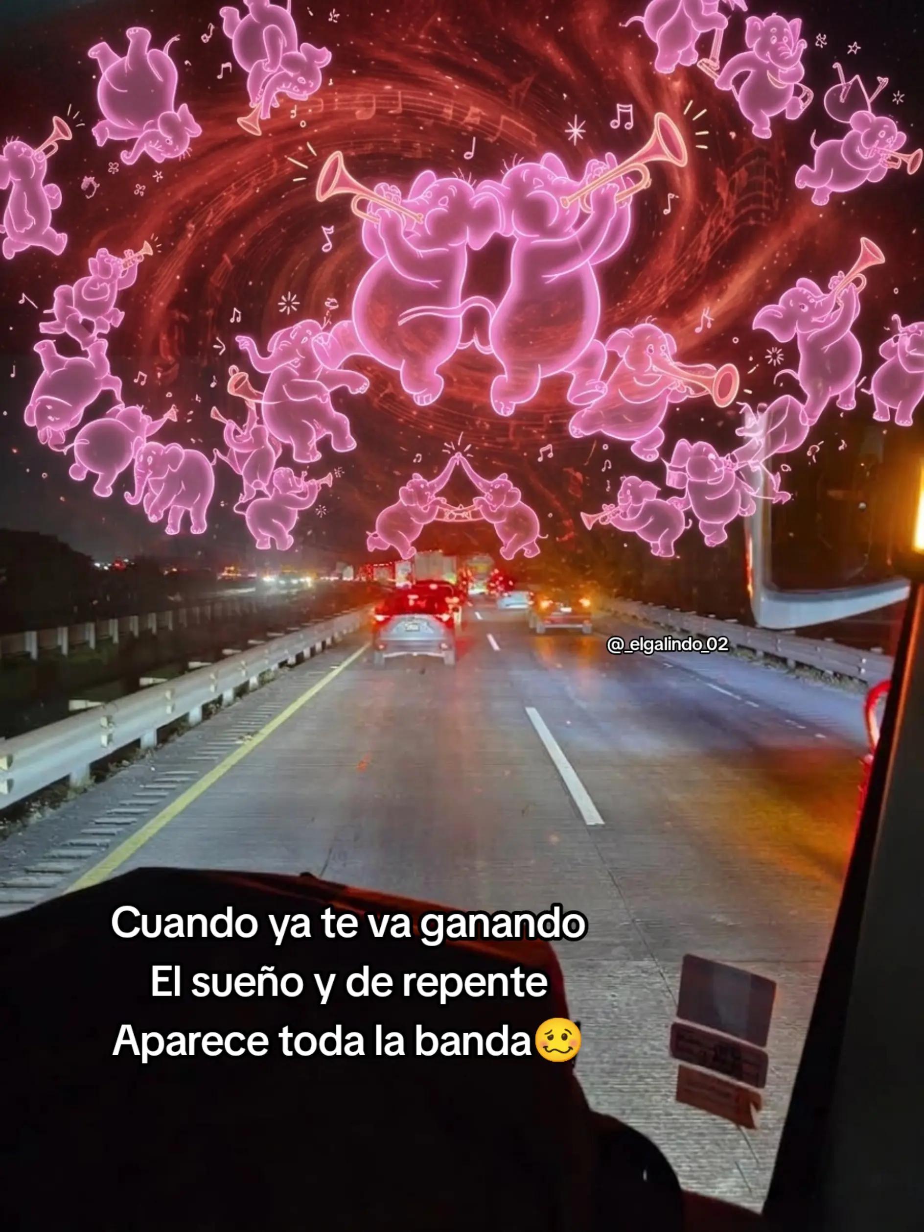 @_elgalindo_02