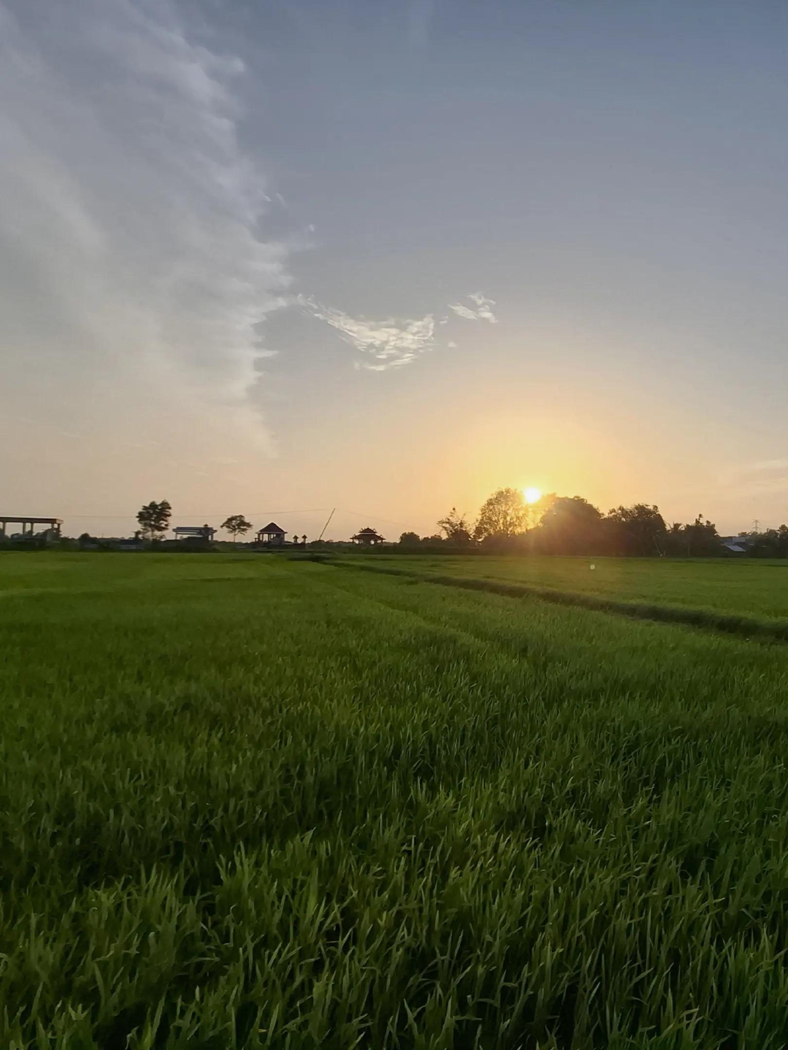 @Quốc Bảo