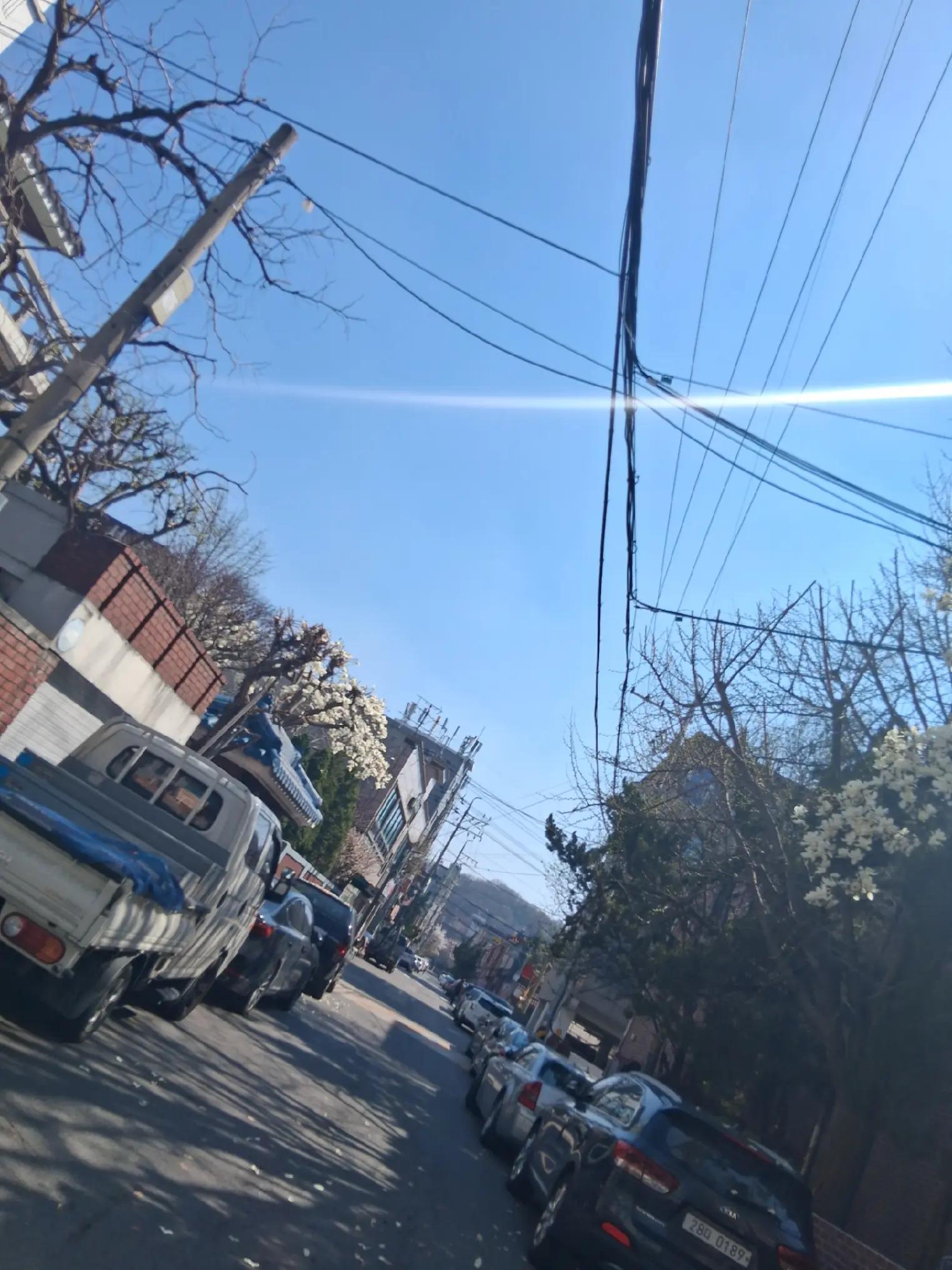 @김우낙지비빔밥