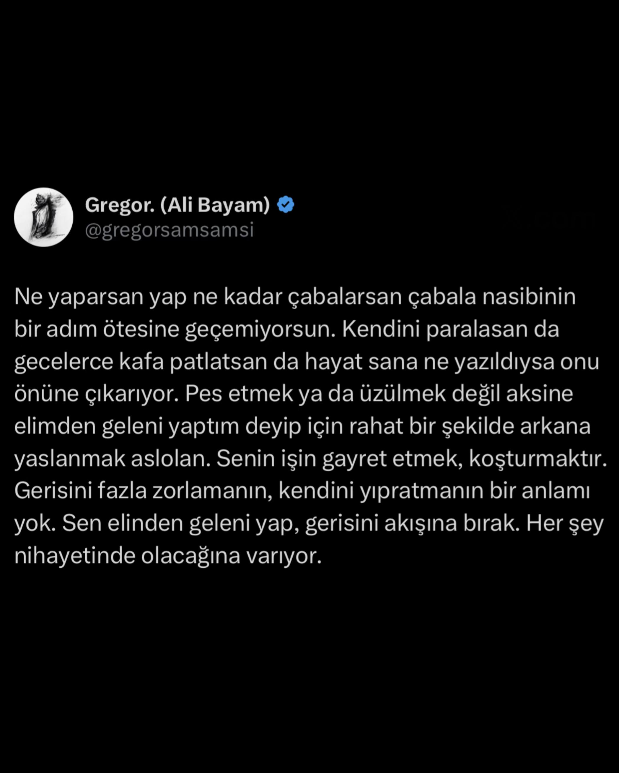 @Ali Bayam