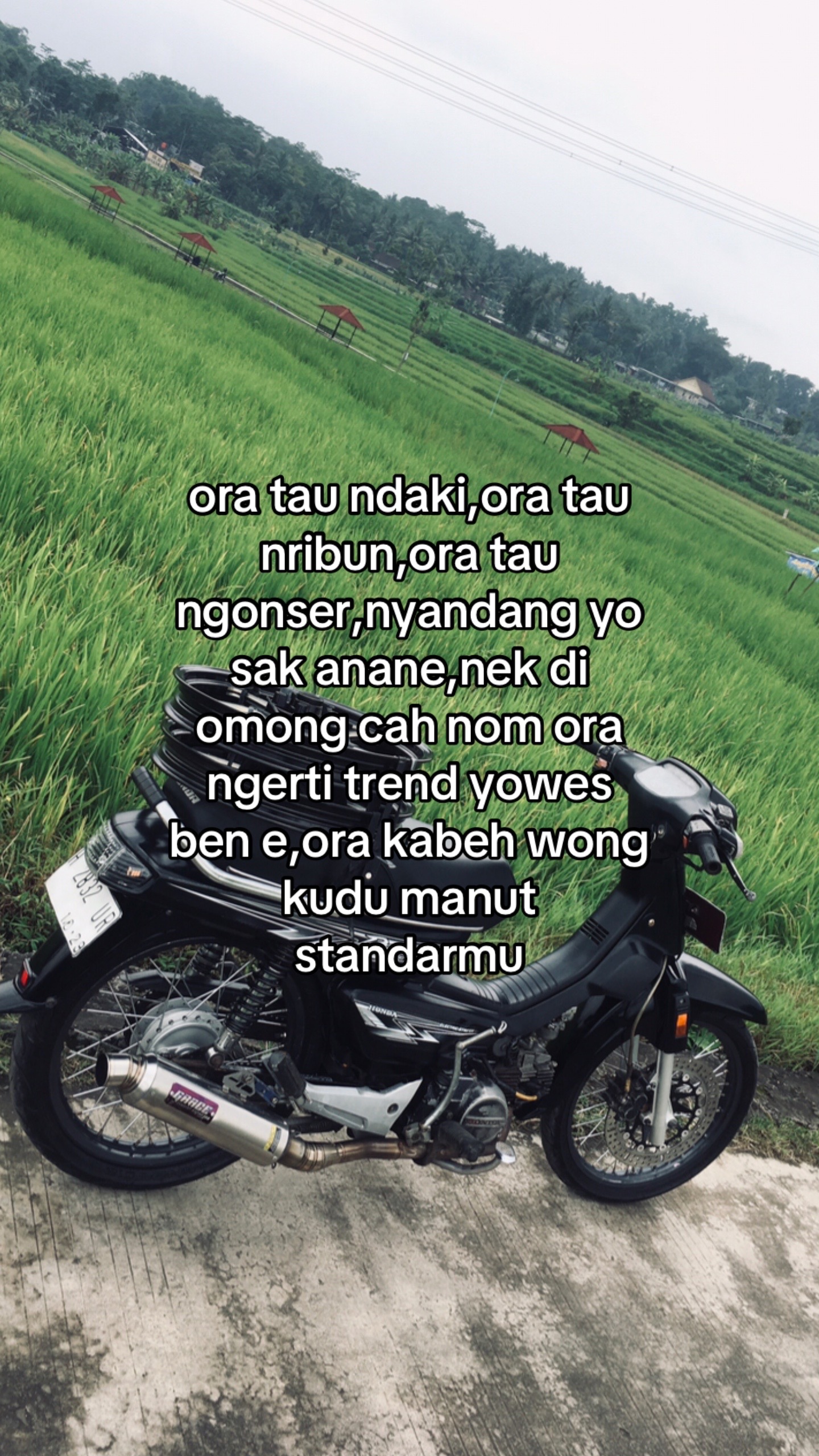 @๐๐๐๐๐๐๐๐โฐ
