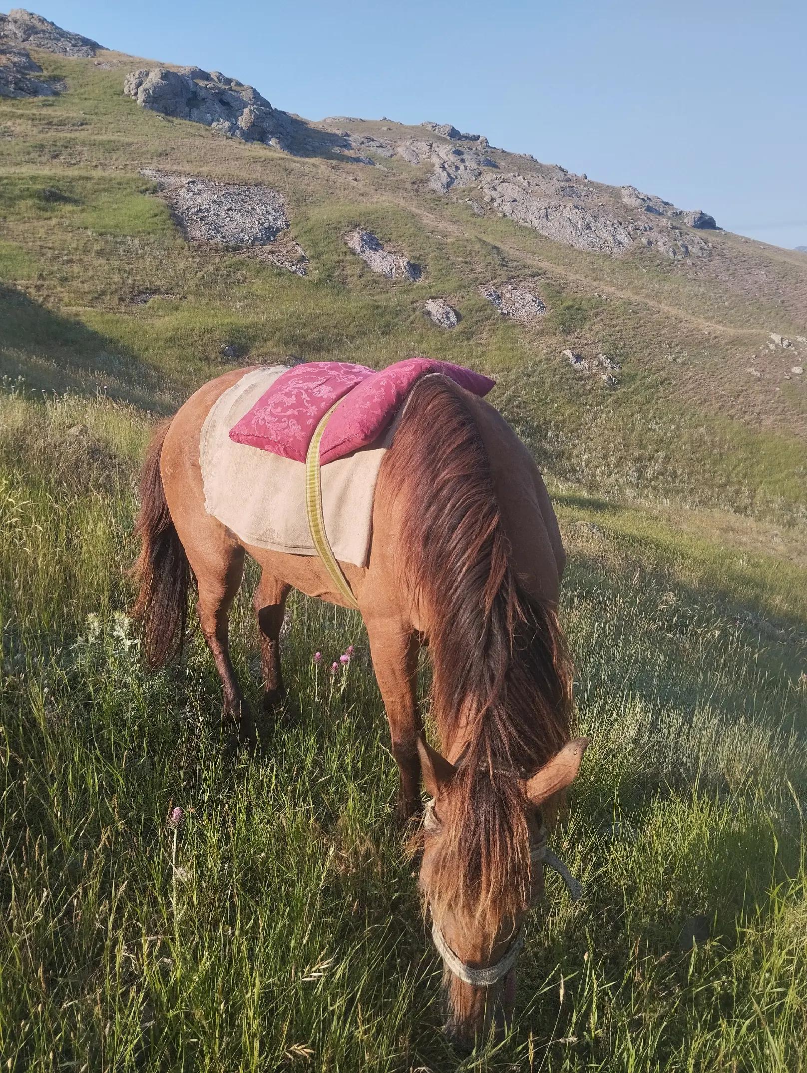 @Elgün Əlizadə