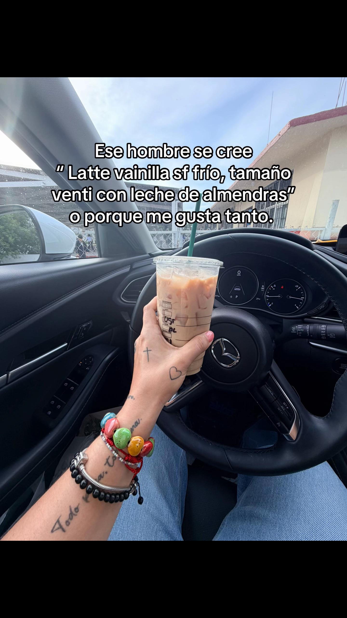 @llubiachavira