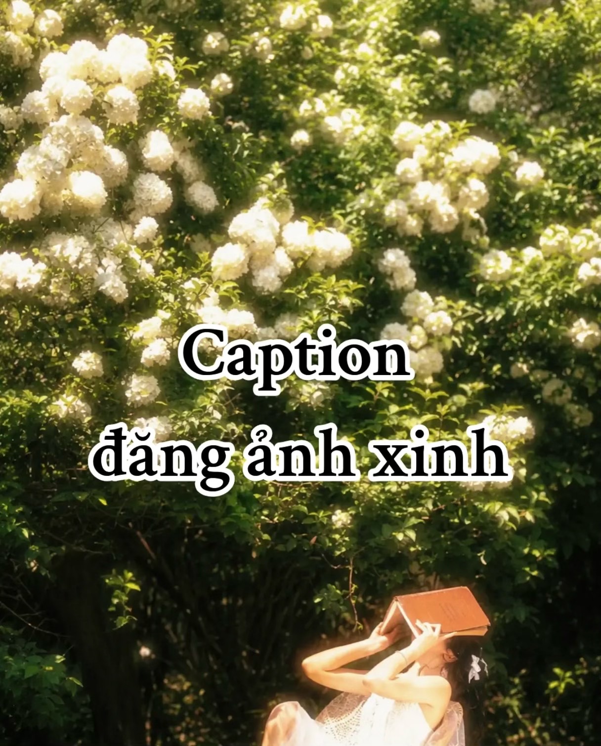 @Hạ Vy
