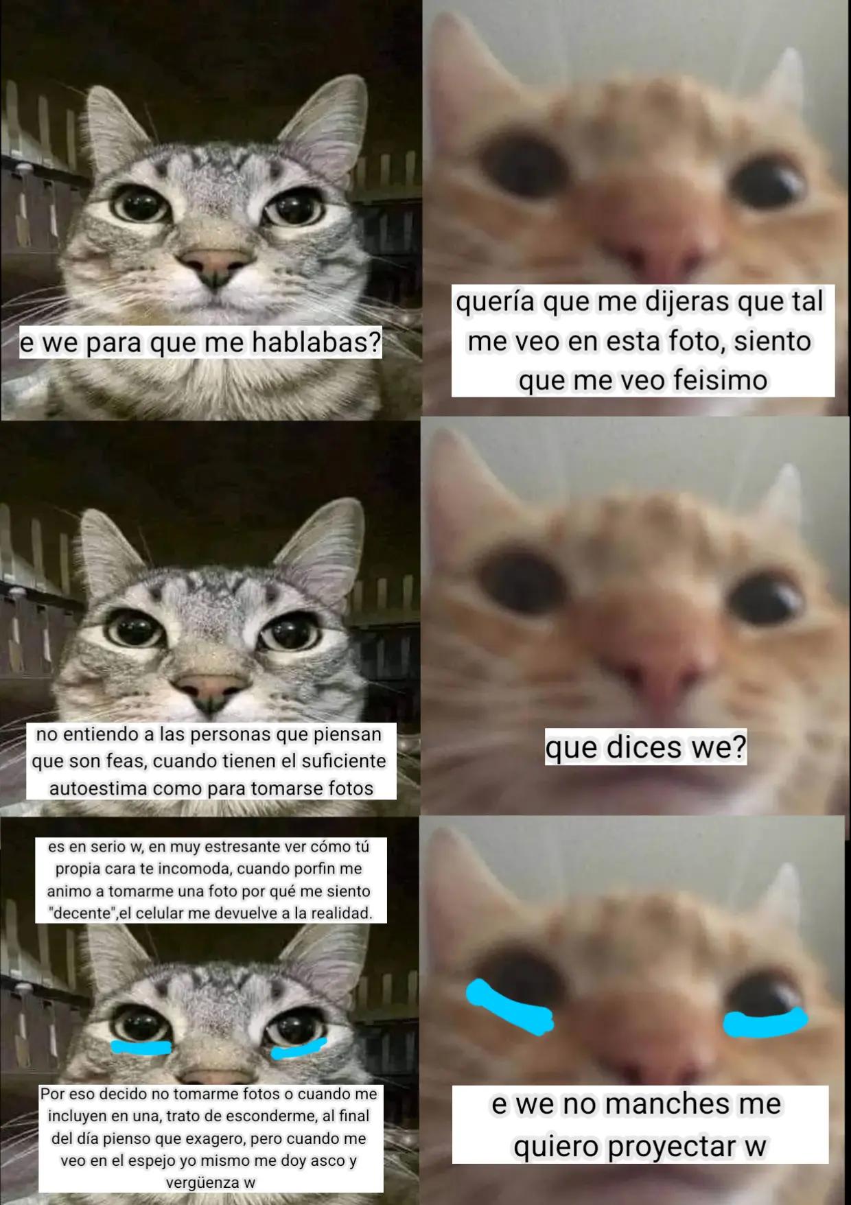 @papupro