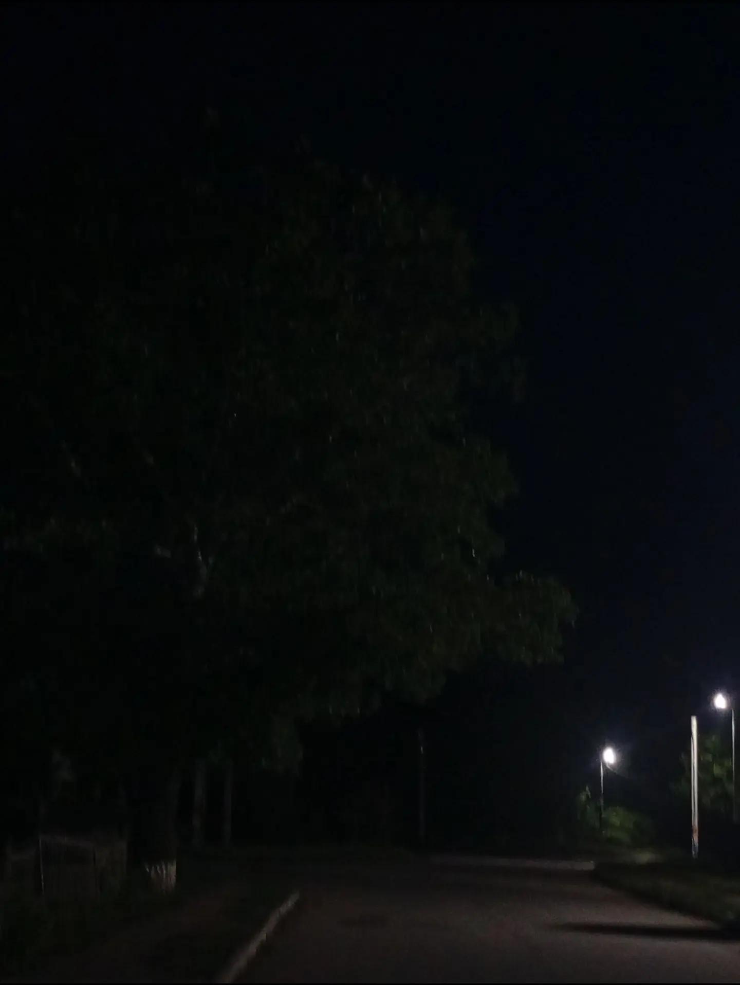 @32 ꜱᴀɴɪᴏᴋ ✵