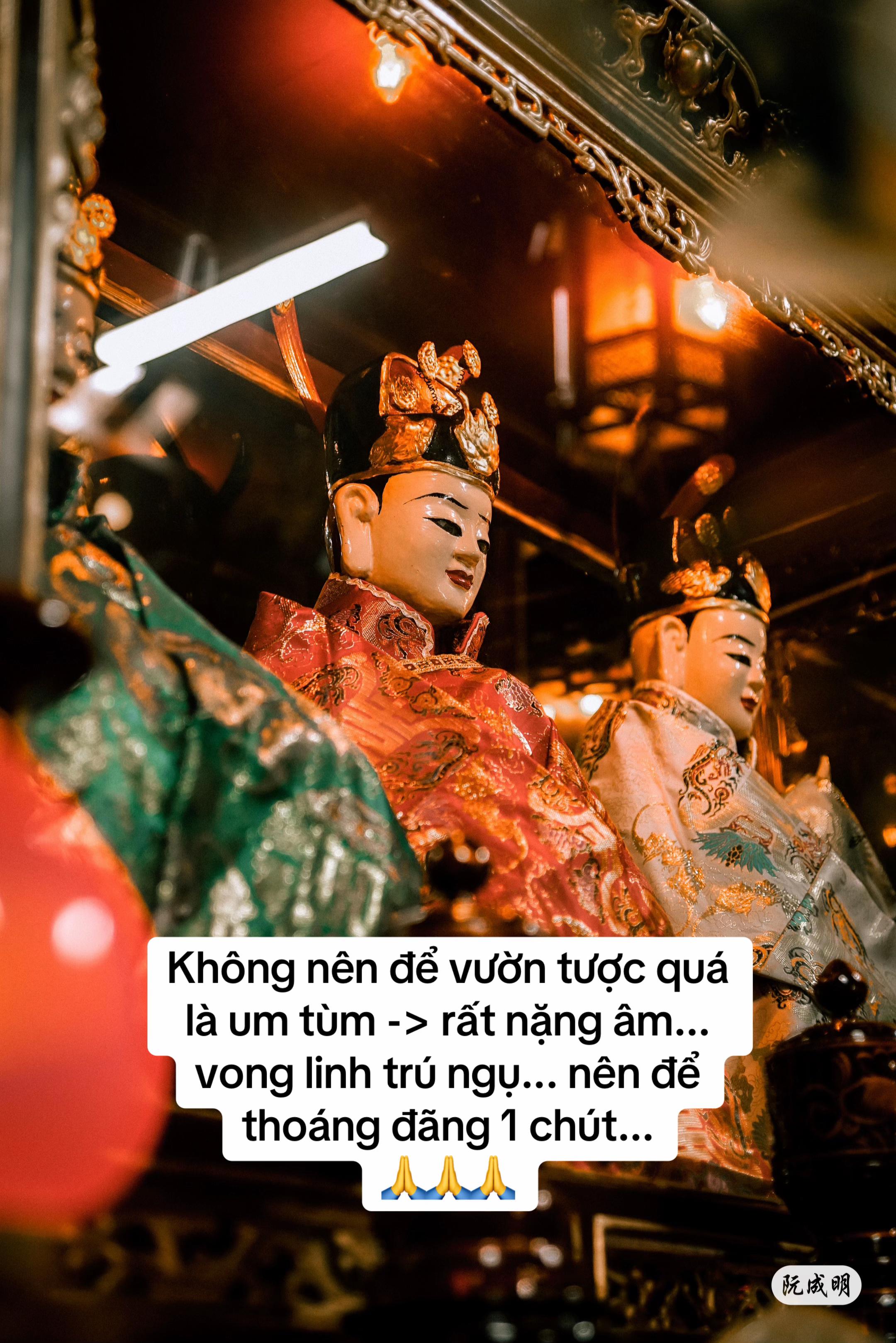 @Cậu Đồng LinhLinh