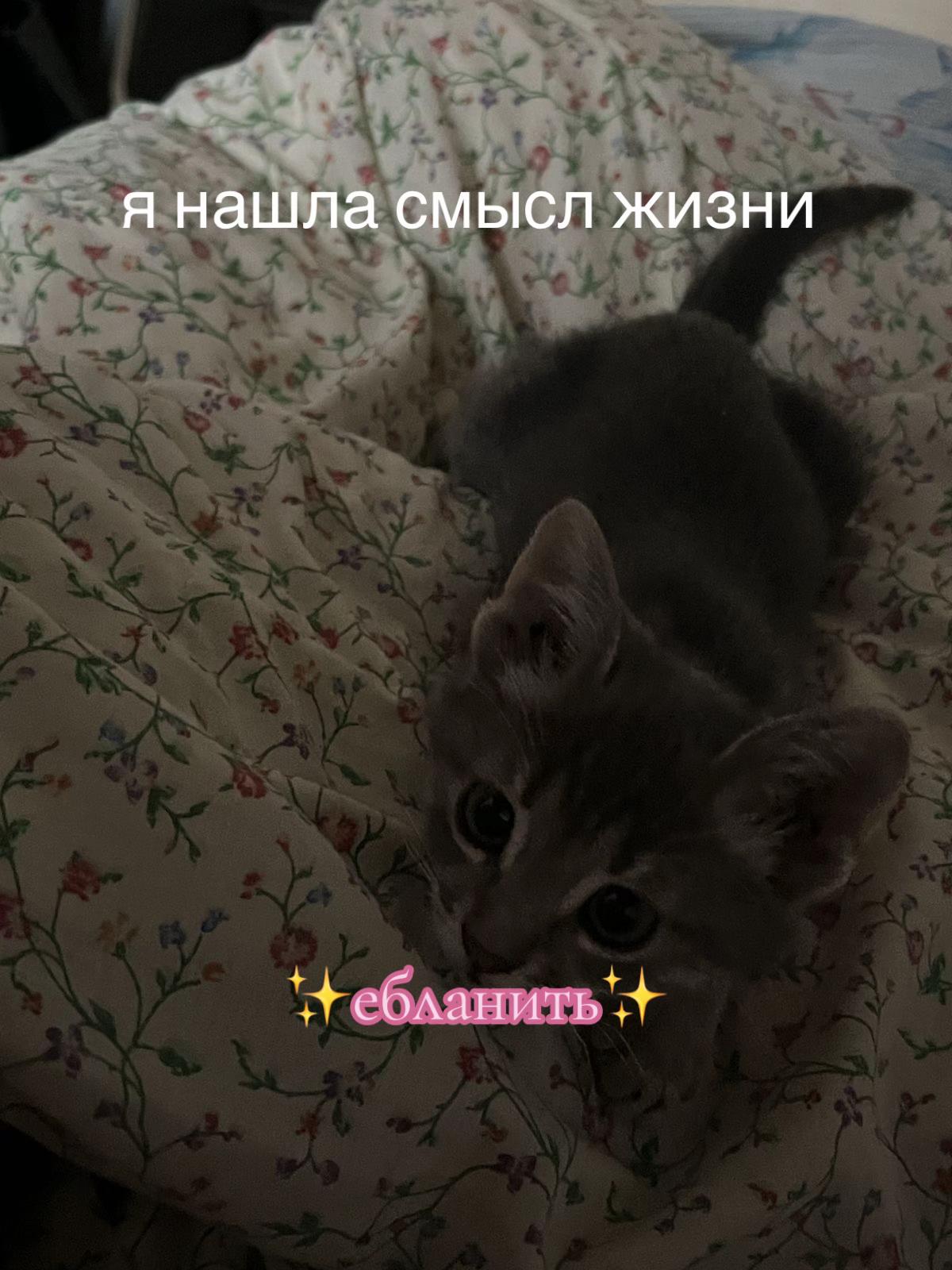 @🖤🖤🖤