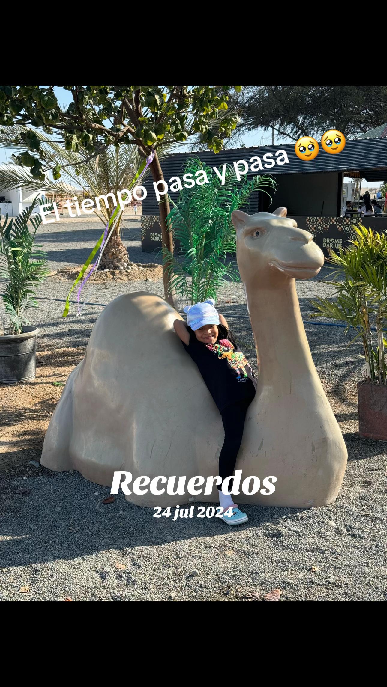 @Alvarado Jara