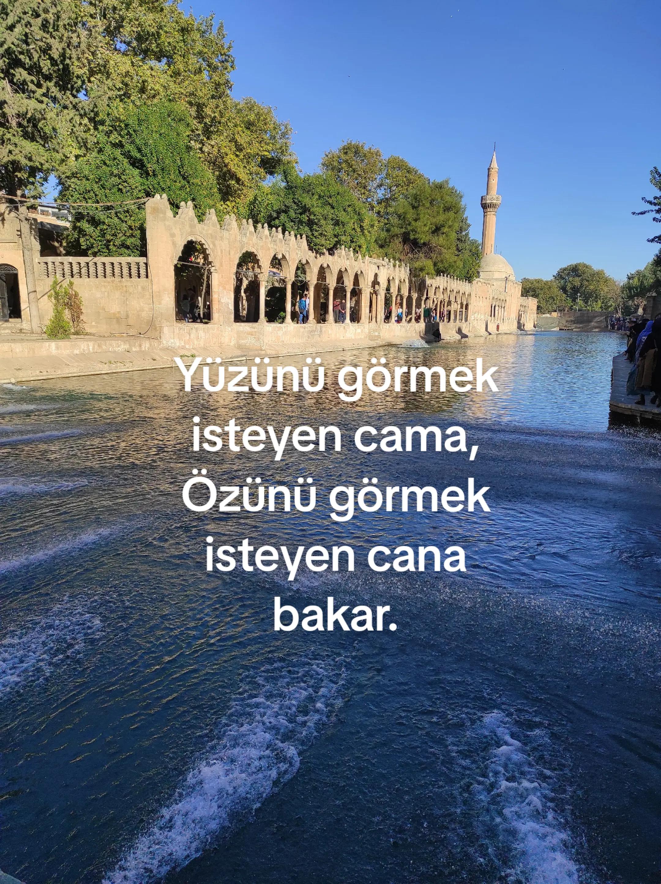 @gezginadam1453