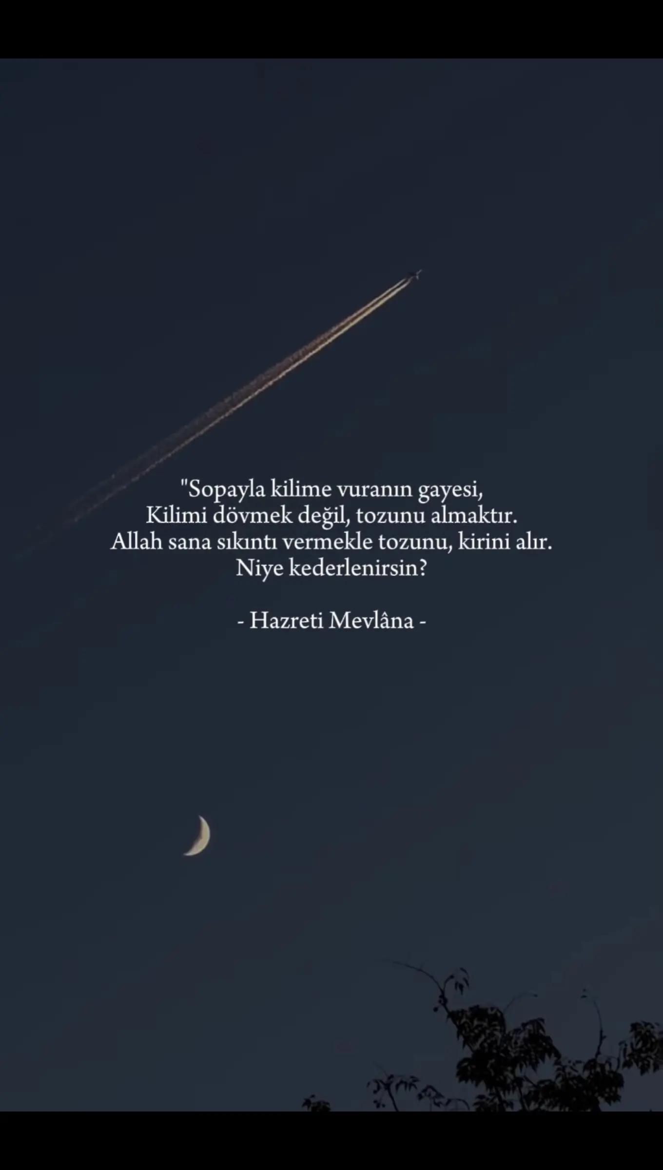 @£|)@🕊️