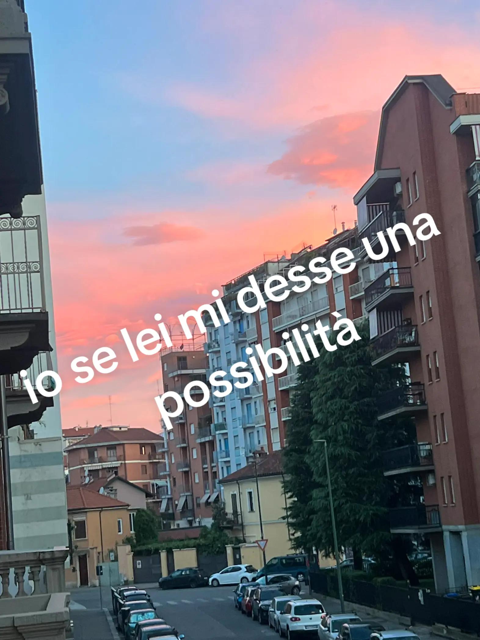 @👑ALEX__013💎