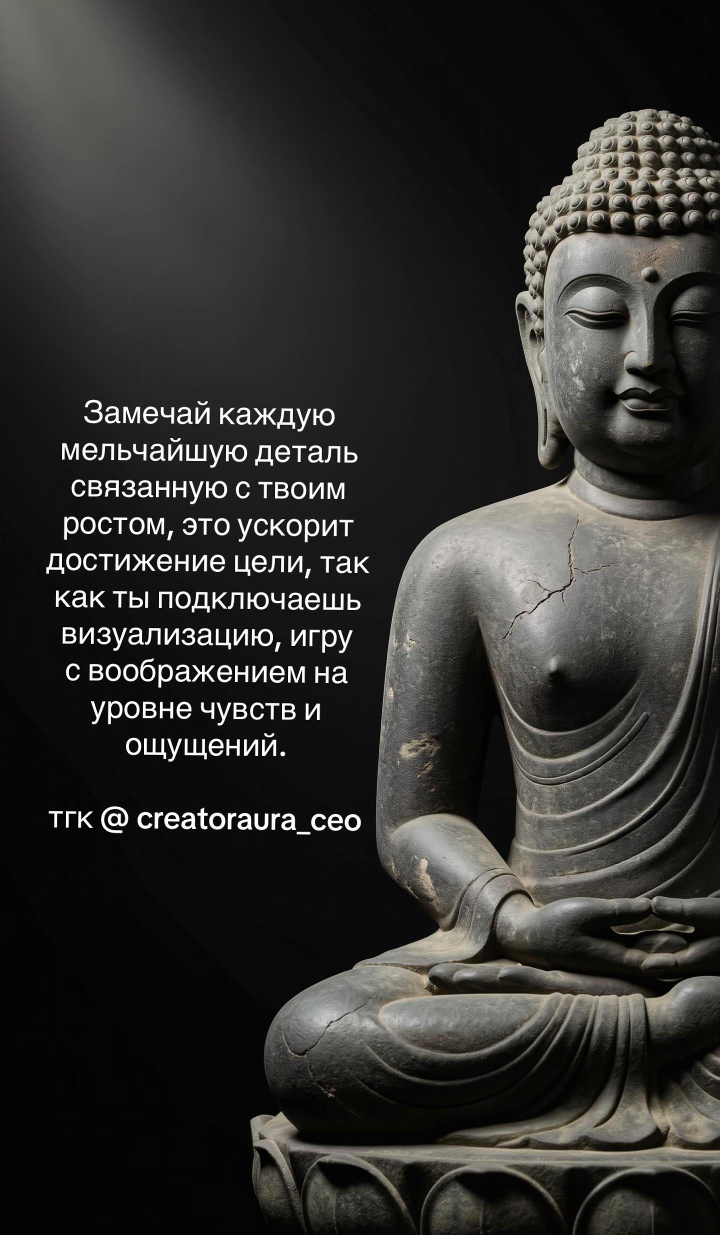 @CreatorAura CEO