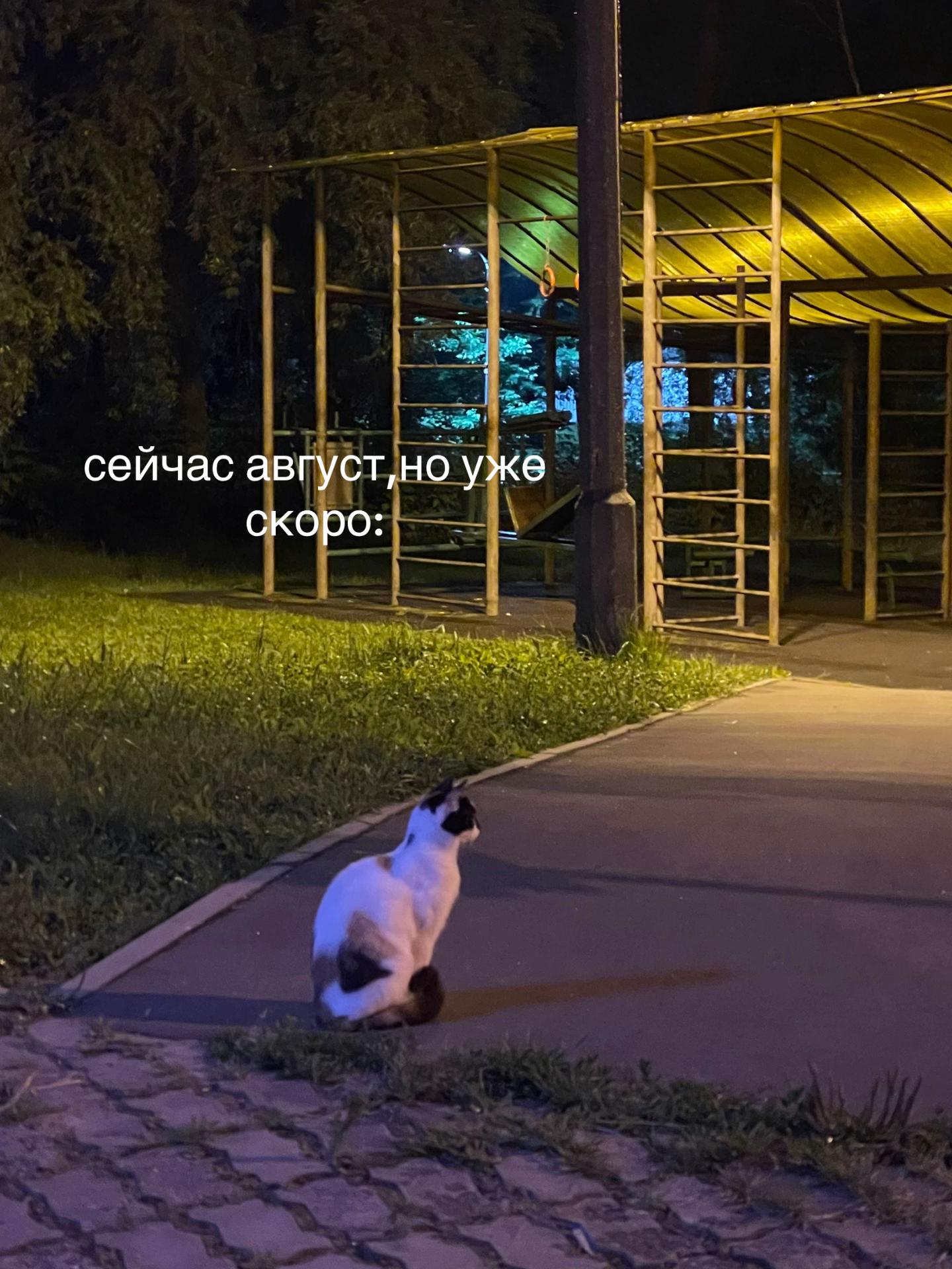 @соня удачина