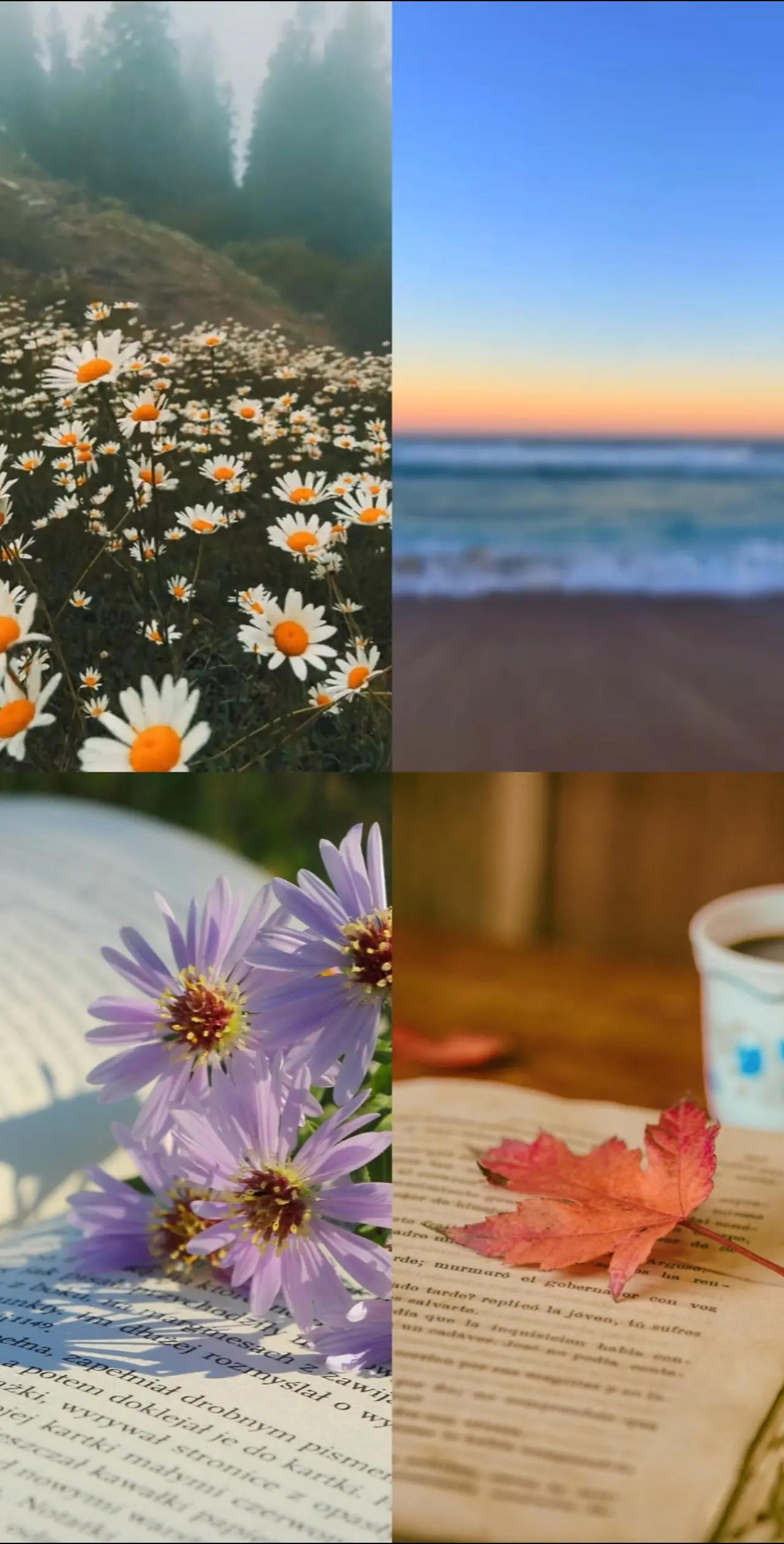 @California