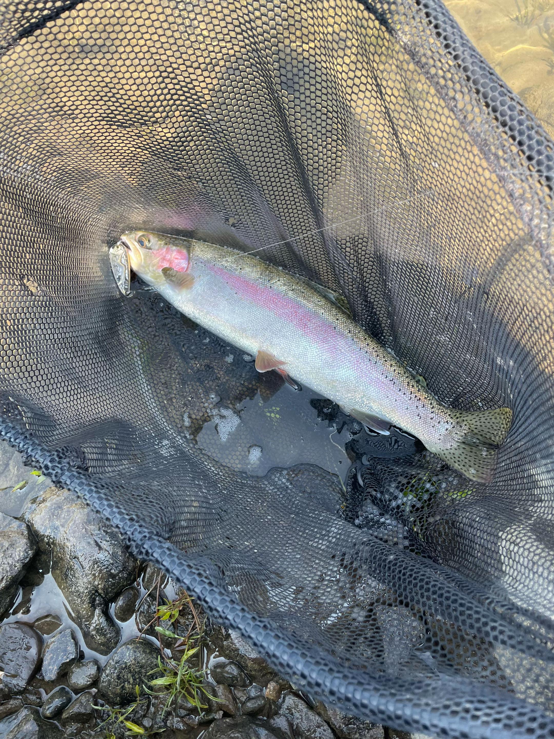 @Corbins~Fishing 🎣