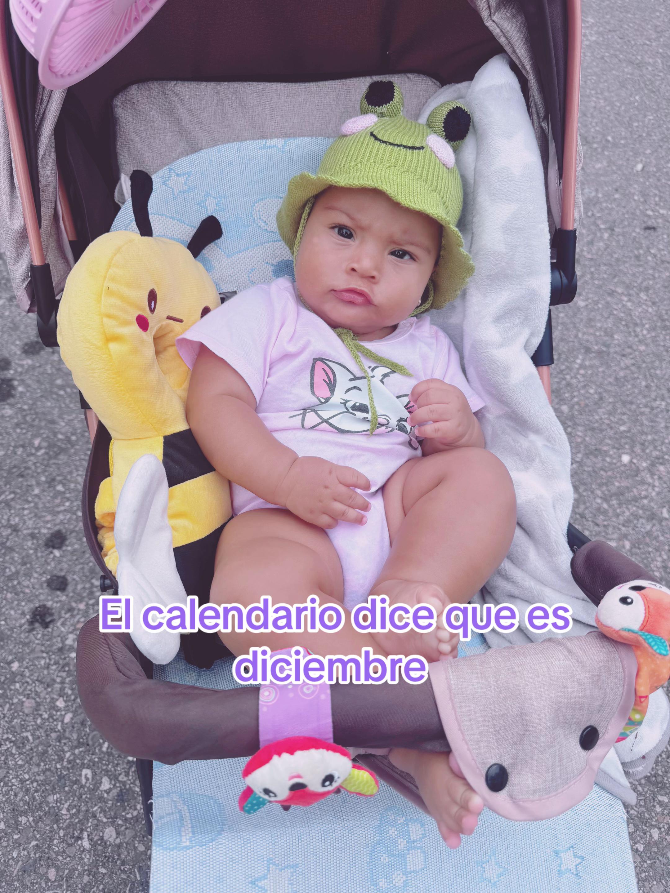 @Daniela Castillo Artista
