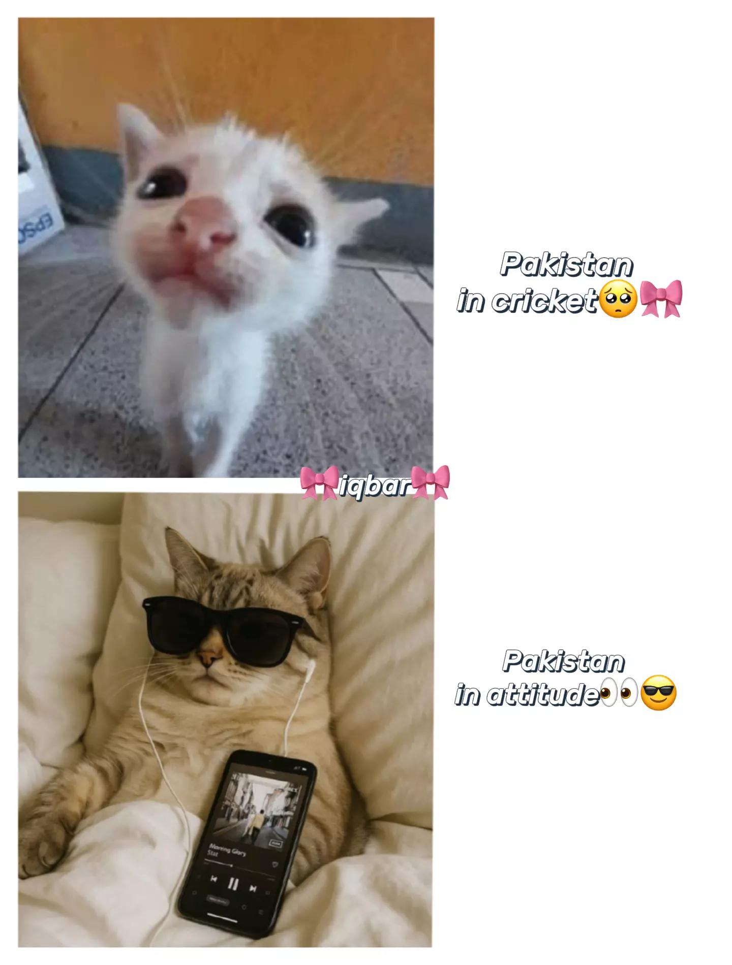 @๐ง
